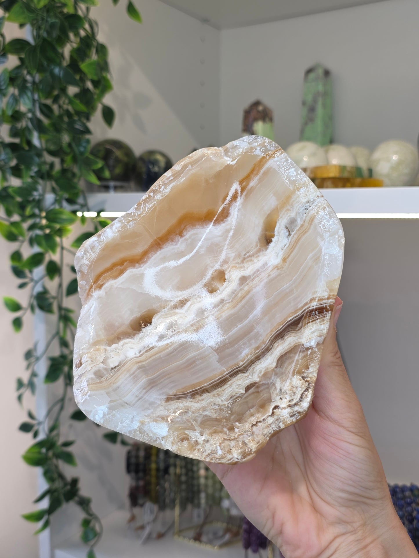 Mexican Onyx Freeform Bowl - Honey Calcite - A