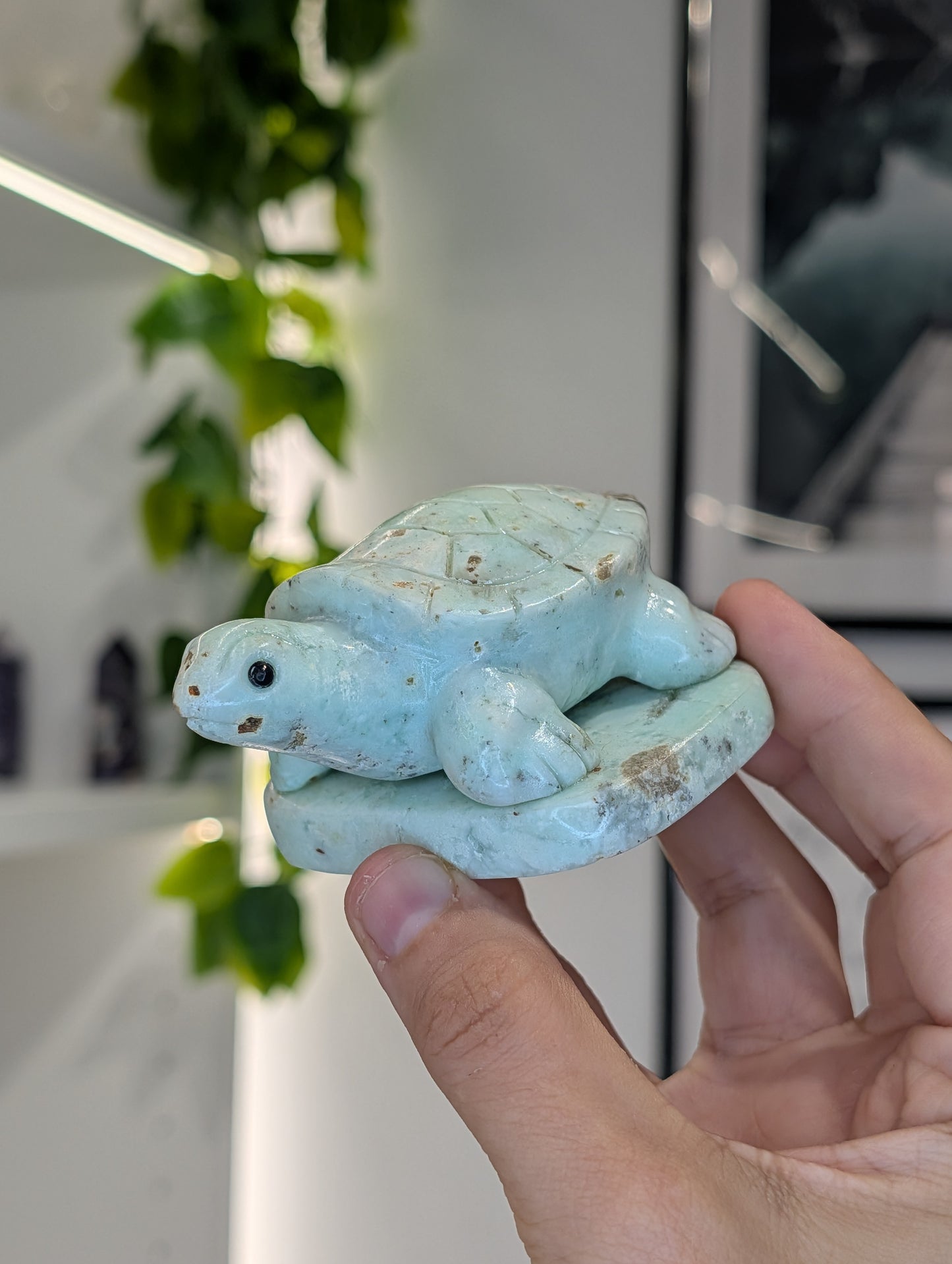 Hand Carved Indonesian Chrysoprase Frogs and Turtles