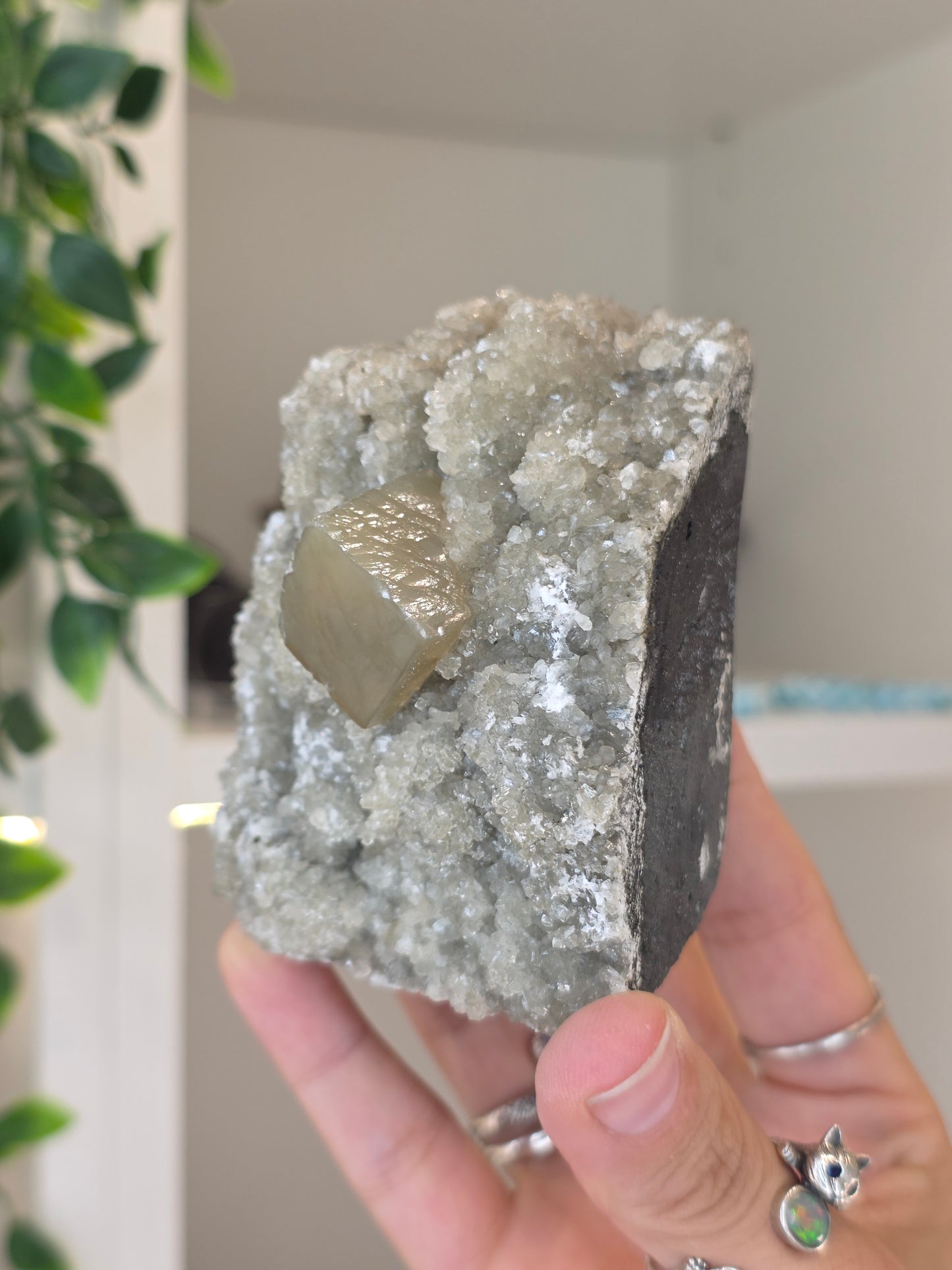 Honey Calcite Cubes on Druzy Sugar Calcite and Stilbite Matrix from Madhya Pradesh, India - AB