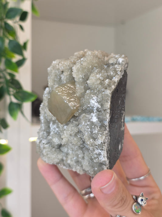 Honey Calcite Cubes on Druzy Sugar Calcite and Stilbite Matrix from Madhya Pradesh, India - AB