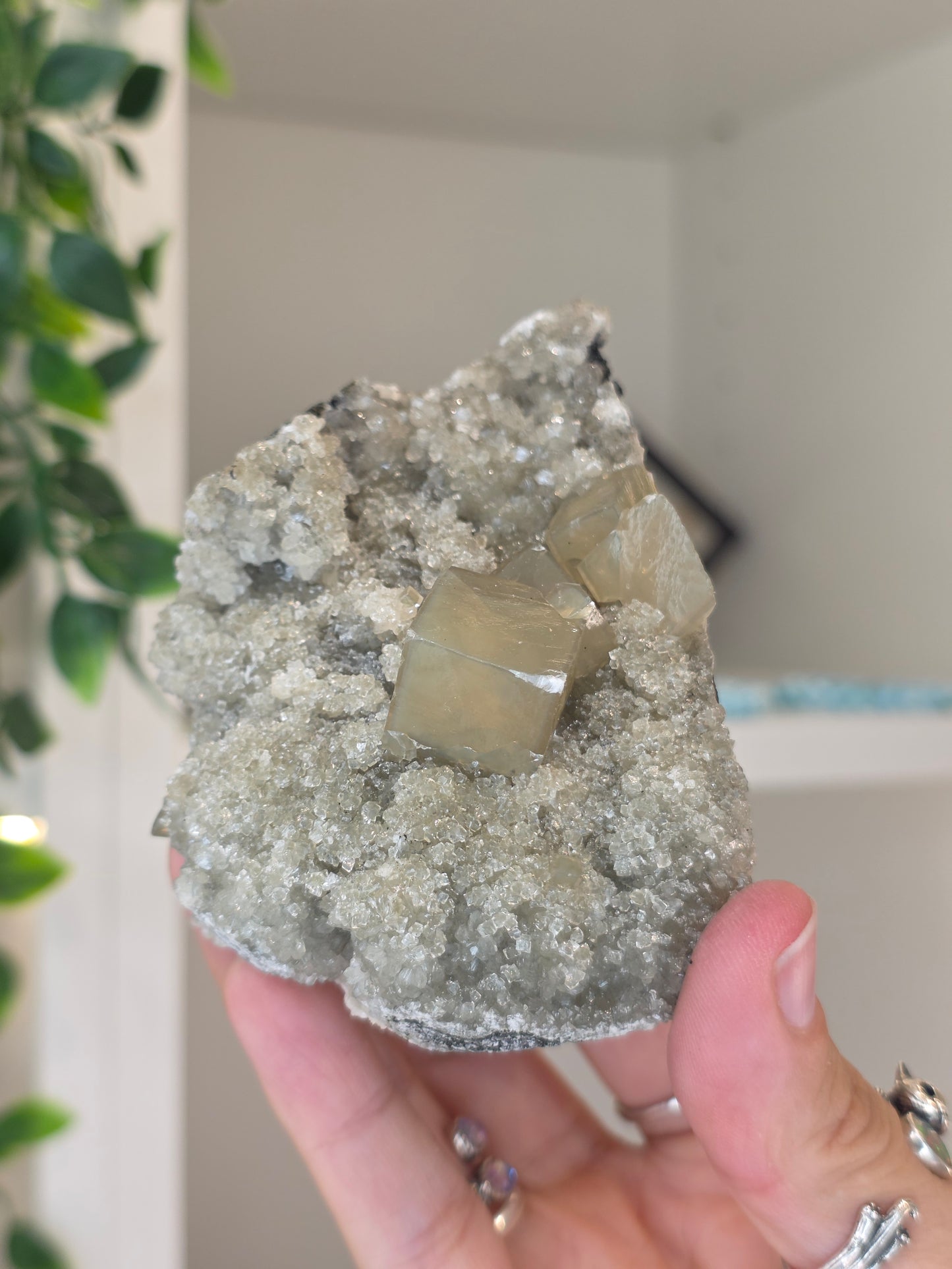 Honey Calcite Cubes on Druzy Sugar Calcite and Stilbite Matrix from Madhya Pradesh, India - Y