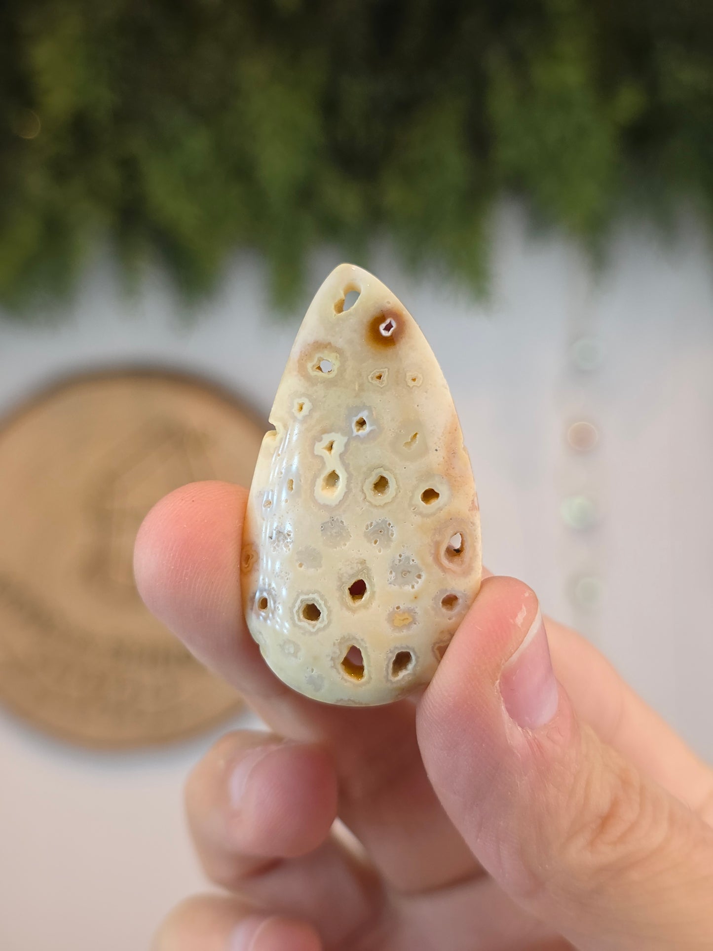 Fossilised Coral Cabachon