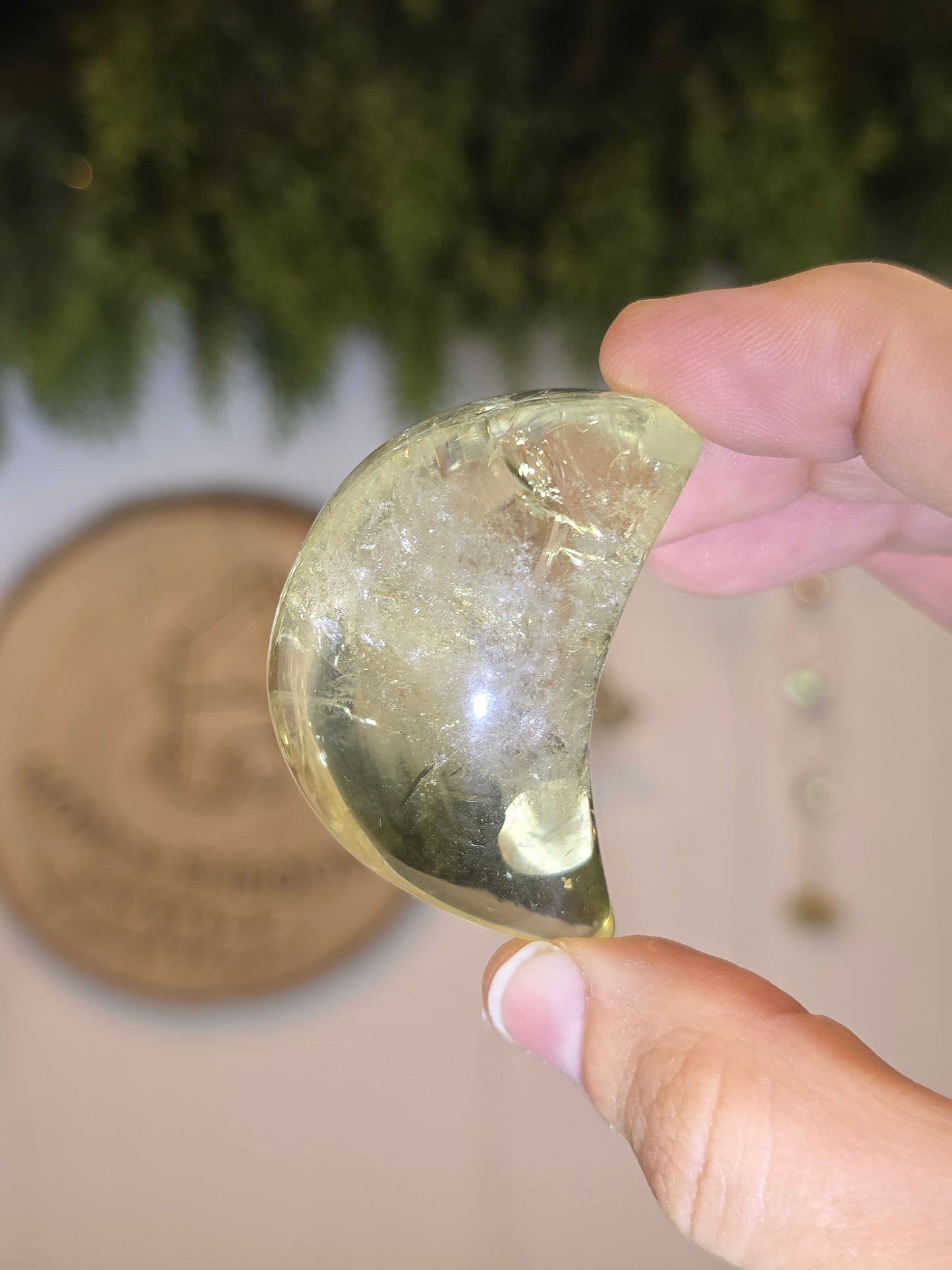 Brazilian Citrine Moons