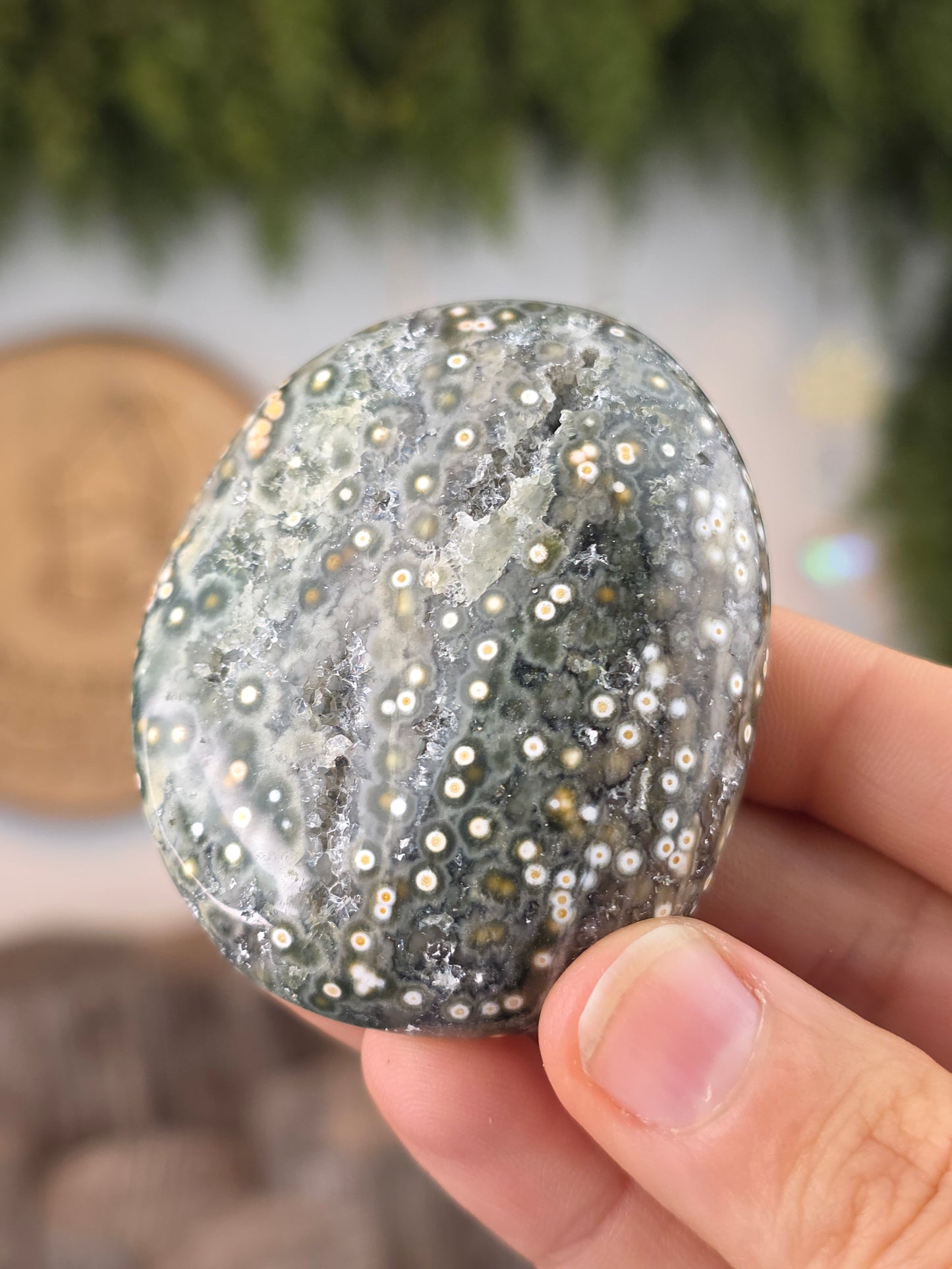 8th Vein Ocean Jasper Palm Stones