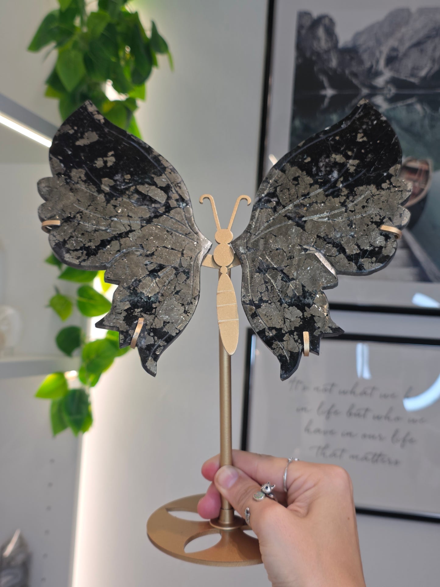 Pyrite Butterfly Wings on Custom Stand - B