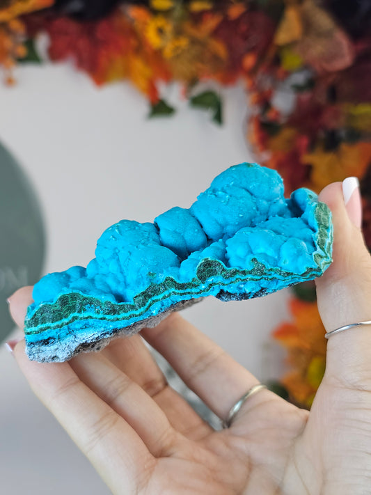 Botryoidal Chrysocolla with Malachite from the Congo - MAS2376