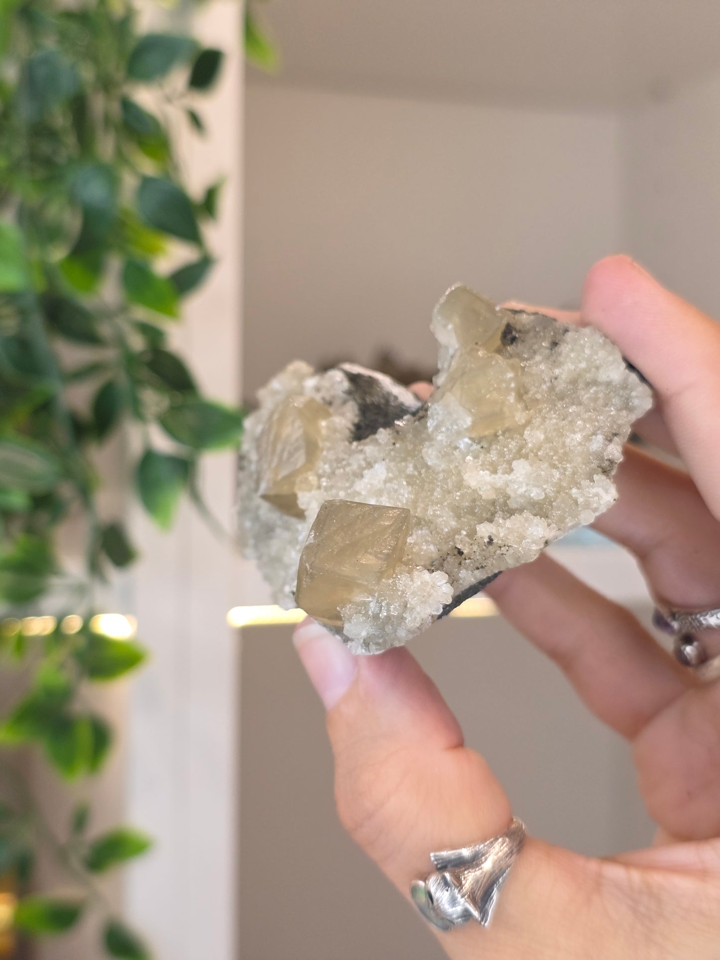 Honey Calcite Cubes on Druzy Sugar Calcite and Stilbite Matrix from Madhya Pradesh, India - C