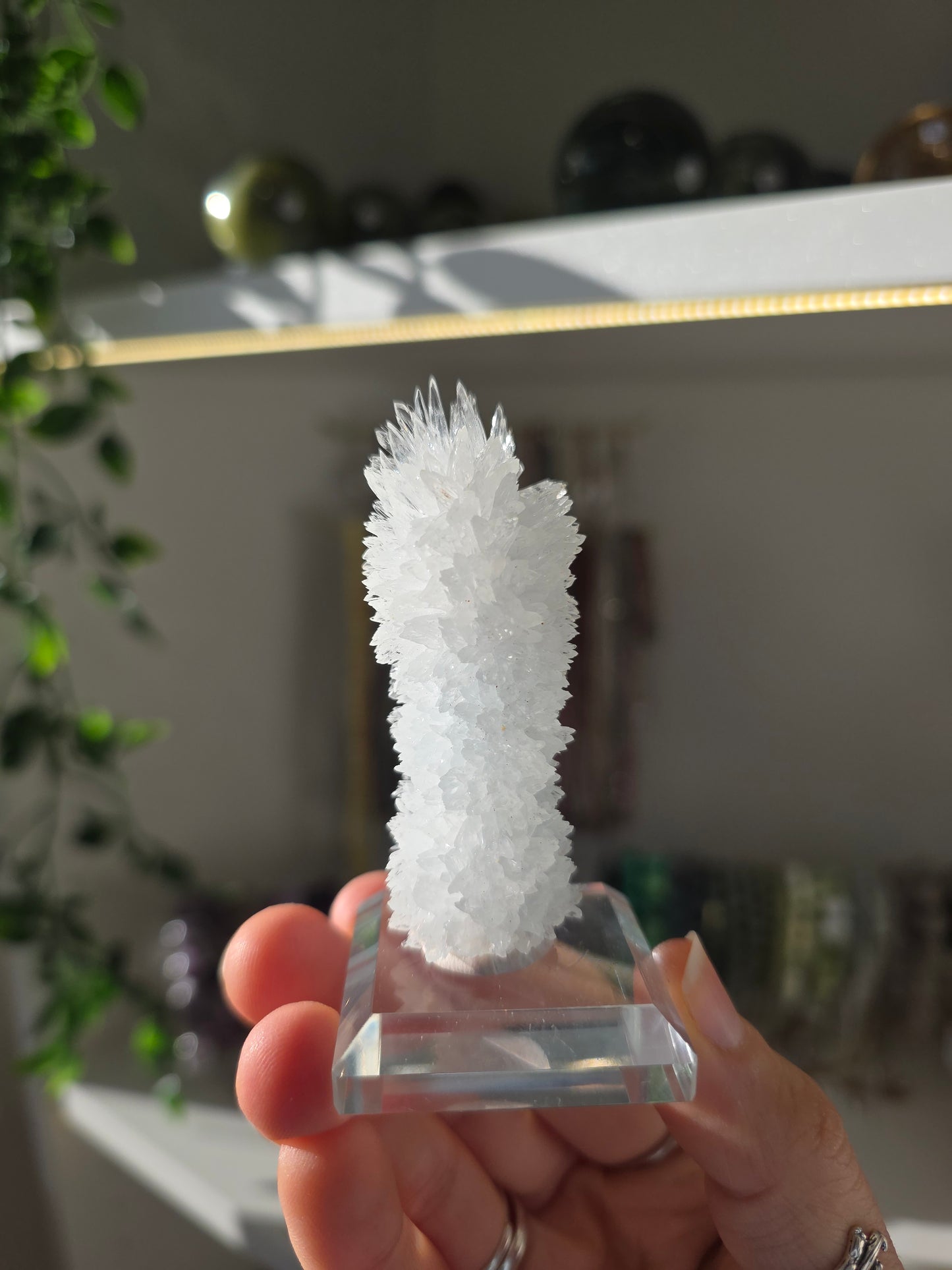 Aragonite Stalactite from Dachang Mine, Qinglong, Guizhou, China