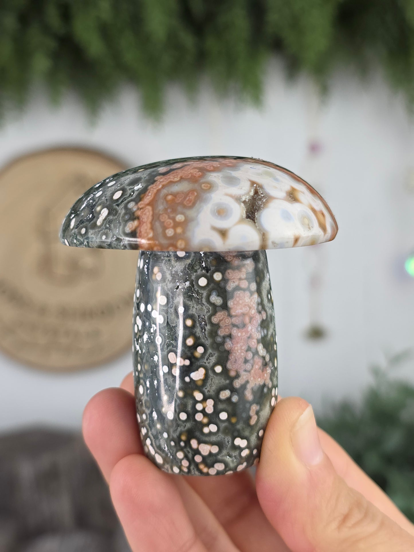 8th Vein Ocean Jasper Mushroom D
