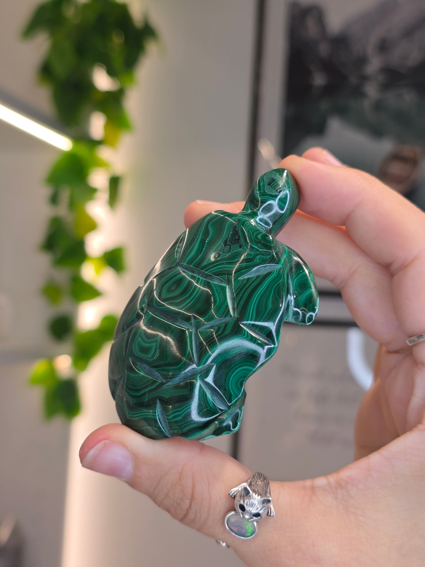 Malachite Turtle Carving - I