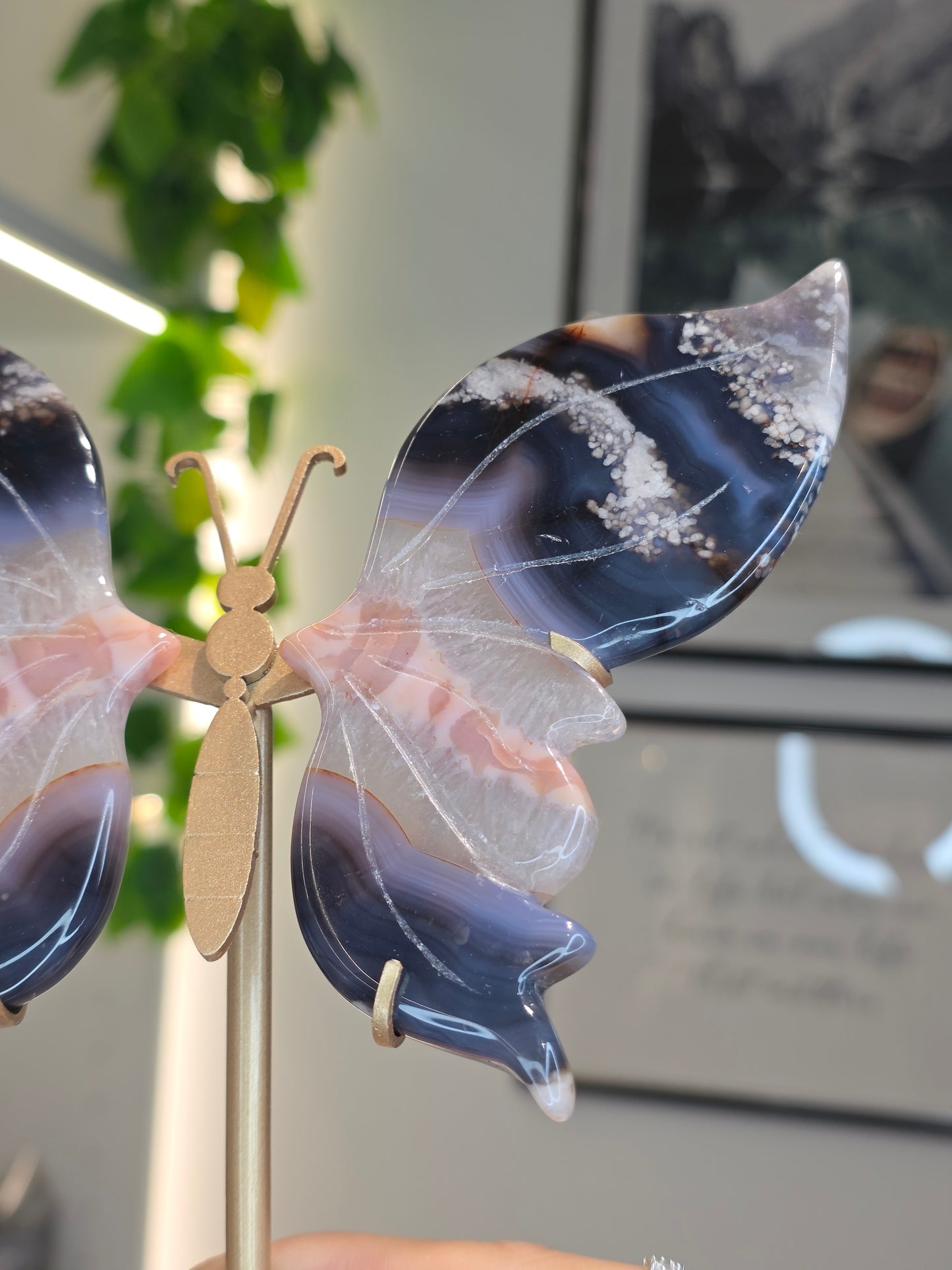 Blue Flower Agate Butterfly Wings on Custom Stand - D