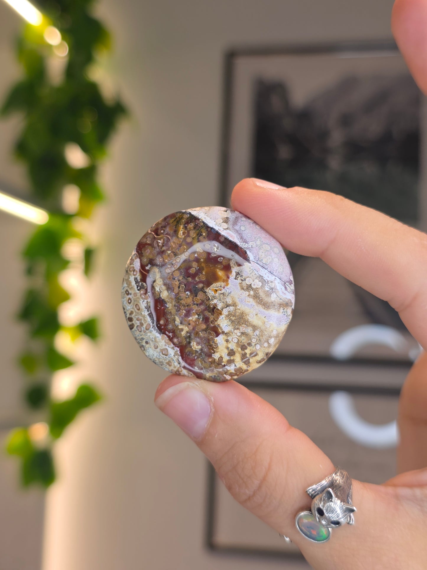 Madagascan Sea Jasper Buttons