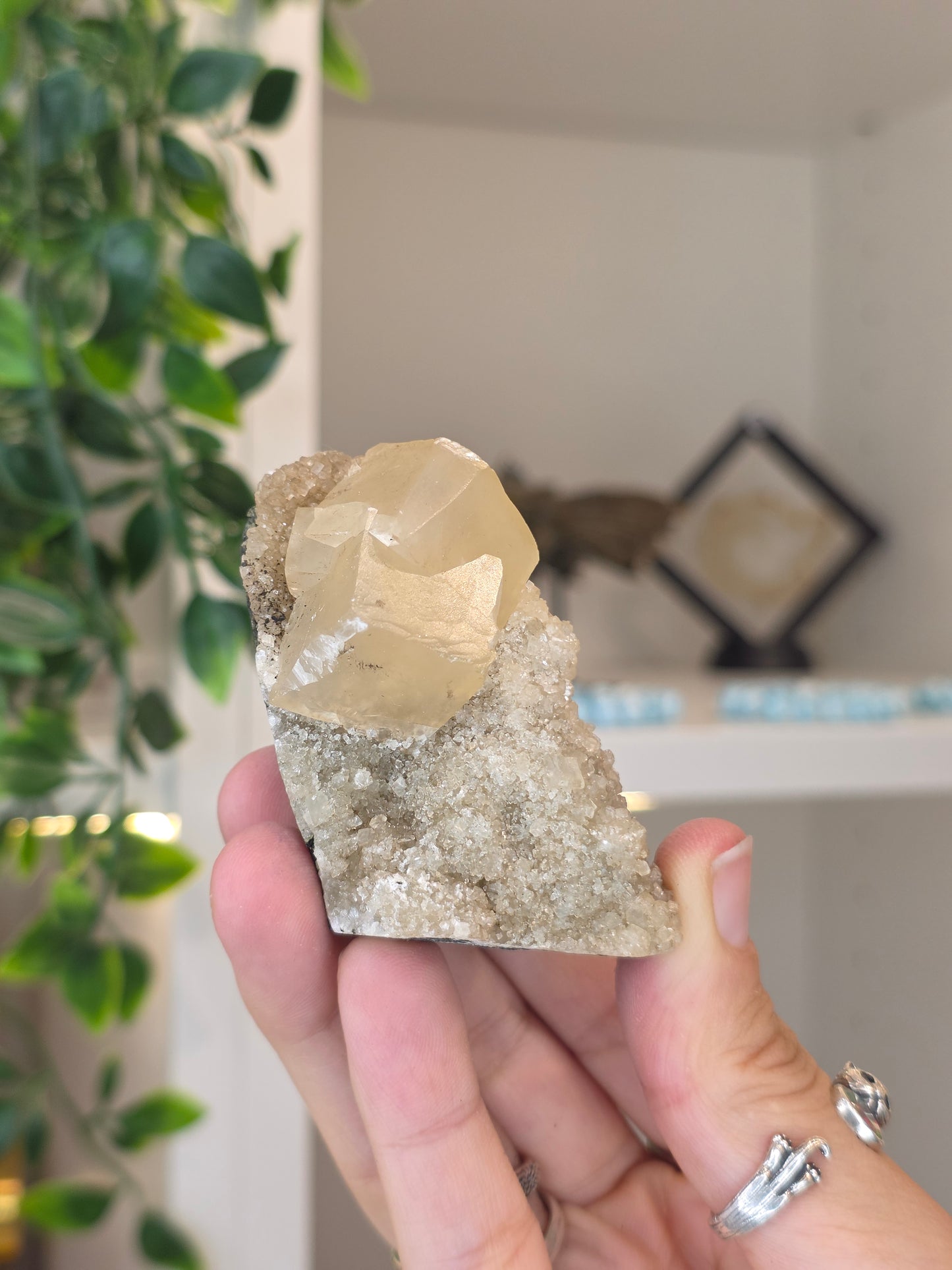 Honey Calcite Cubes on Druzy Sugar Calcite and Stilbite Matrix from Madhya Pradesh, India - H