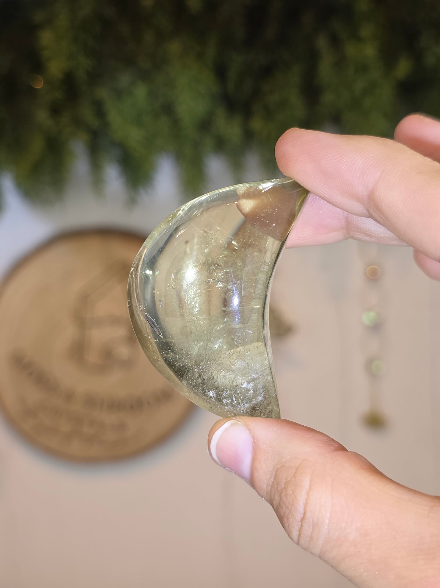 Brazilian Citrine Moons