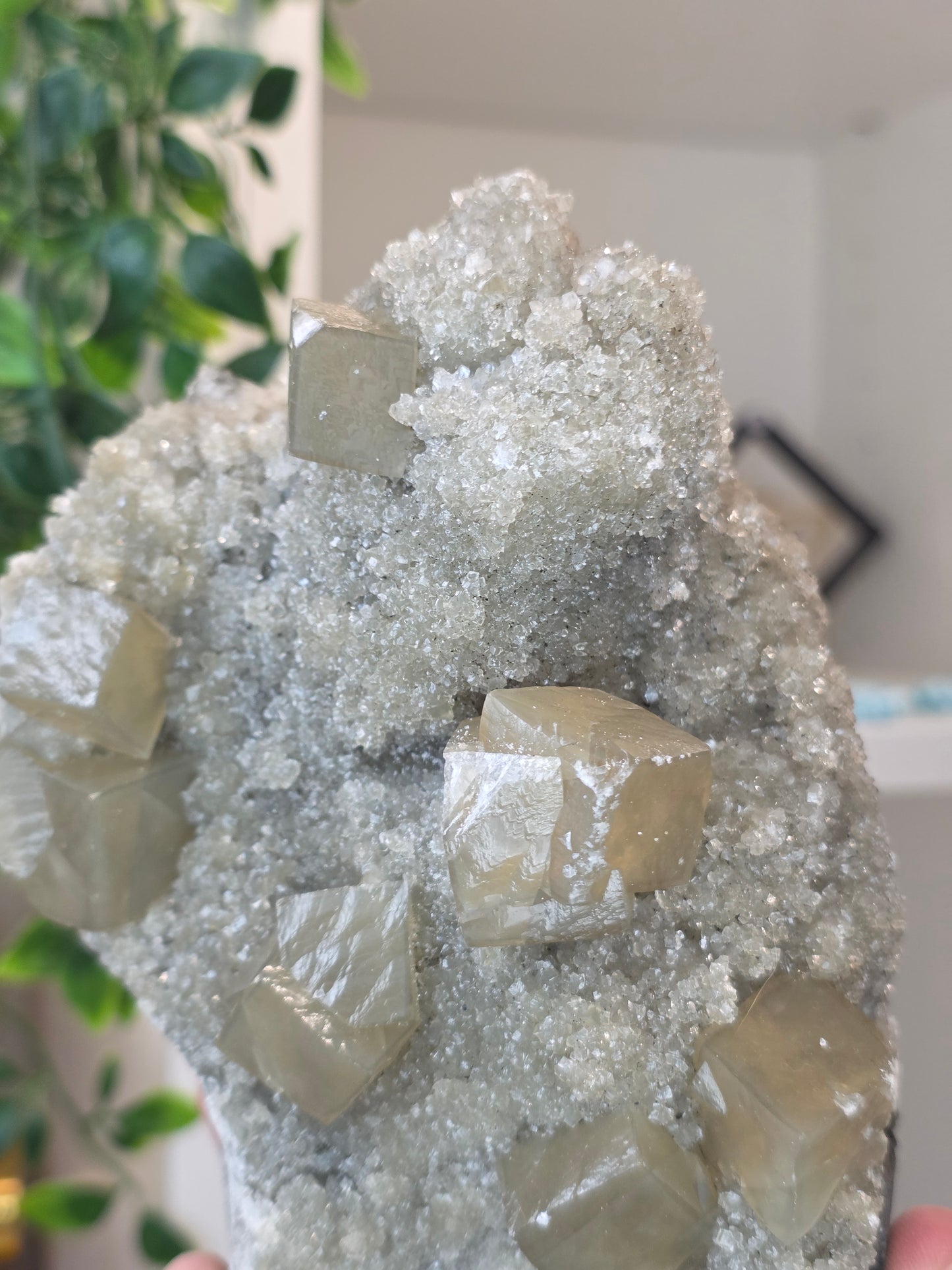 Honey Calcite Cubes on Druzy Sugar Calcite and Stilbite Matrix from Madhya Pradesh, India - AL