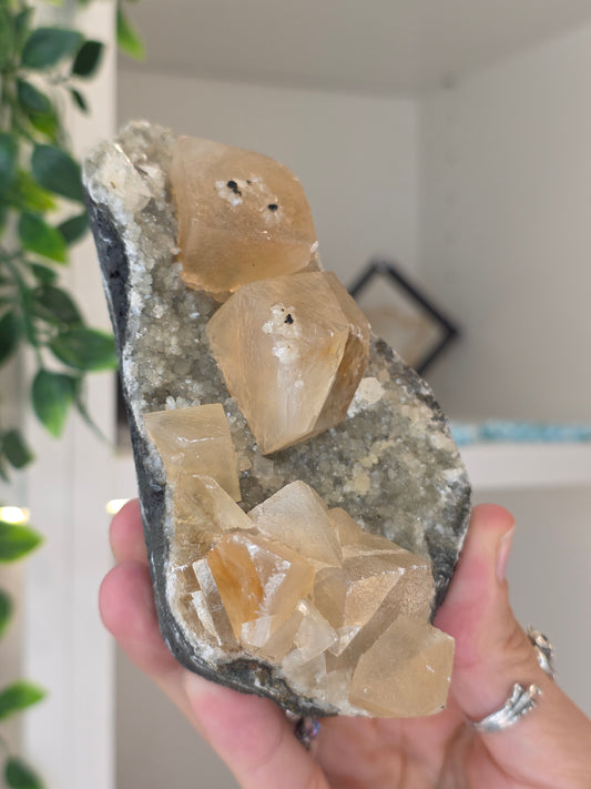 Honey Calcite Cubes on Druzy Sugar Calcite and Stilbite Matrix from Madhya Pradesh, India - AA