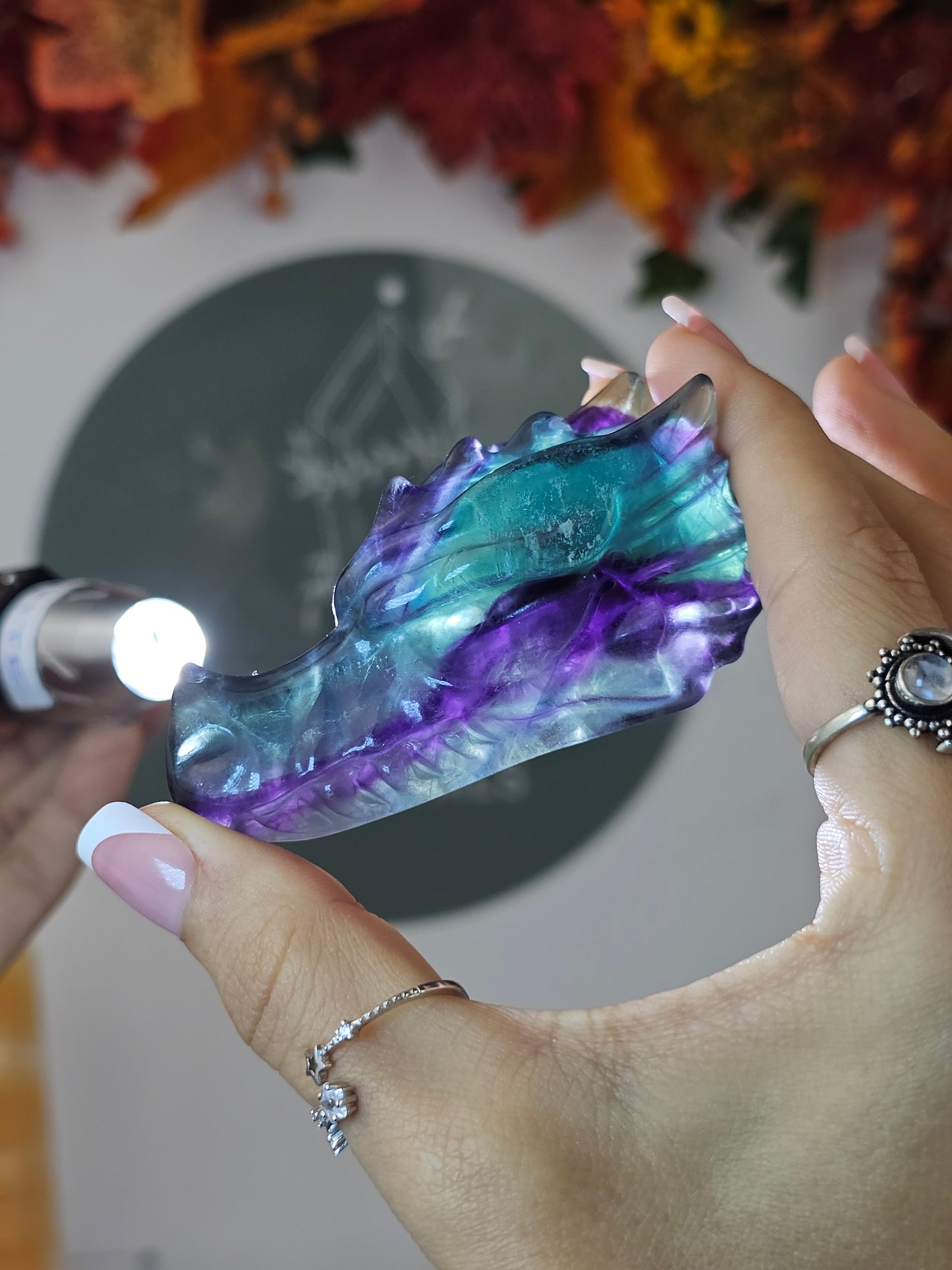 Fluorite Dragon Head A - MAS1261