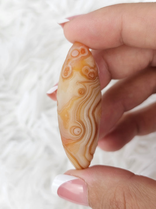 Gobi Agate Shiva - MAS0752