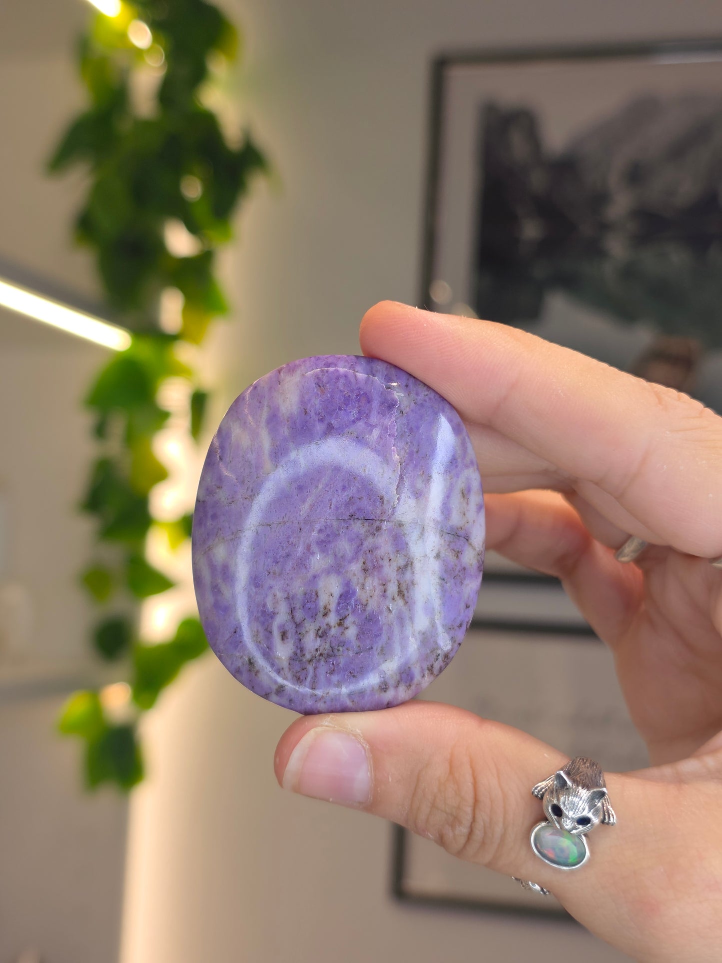 Lavender Jade Palm Stones