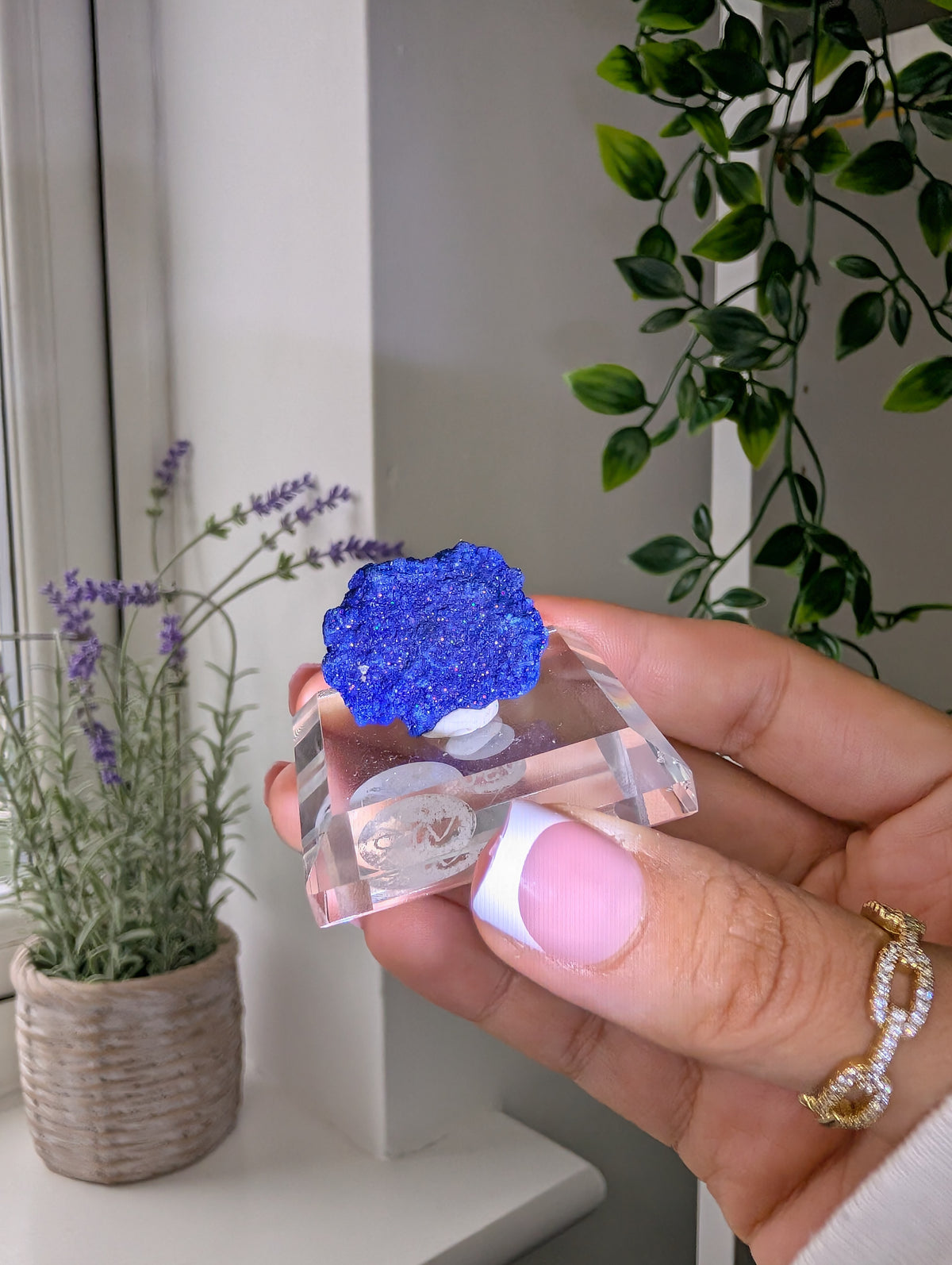 Azurite Rosettes from Morocco