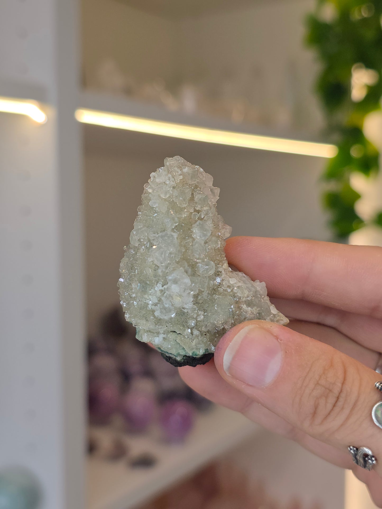 Sugary Dogtooth Calcite with Heulandite and Stilbite from Madhya Pradesh, India - B
