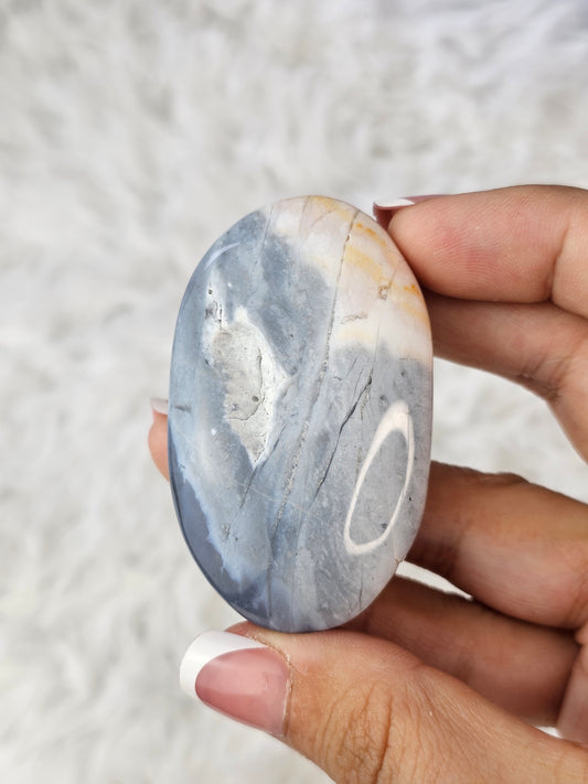 Blue Petrified Wood Palm Stone - MAS0776