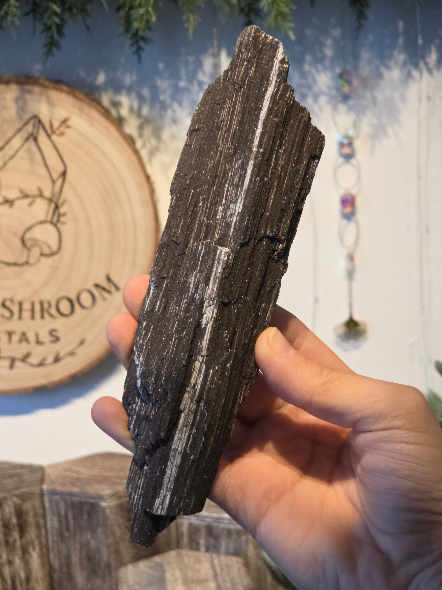 Sparkly Petrified Wood from Indonesia