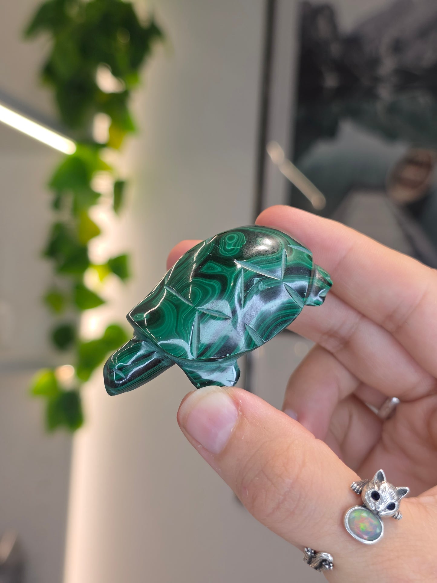 Malachite Turtle Carving - C