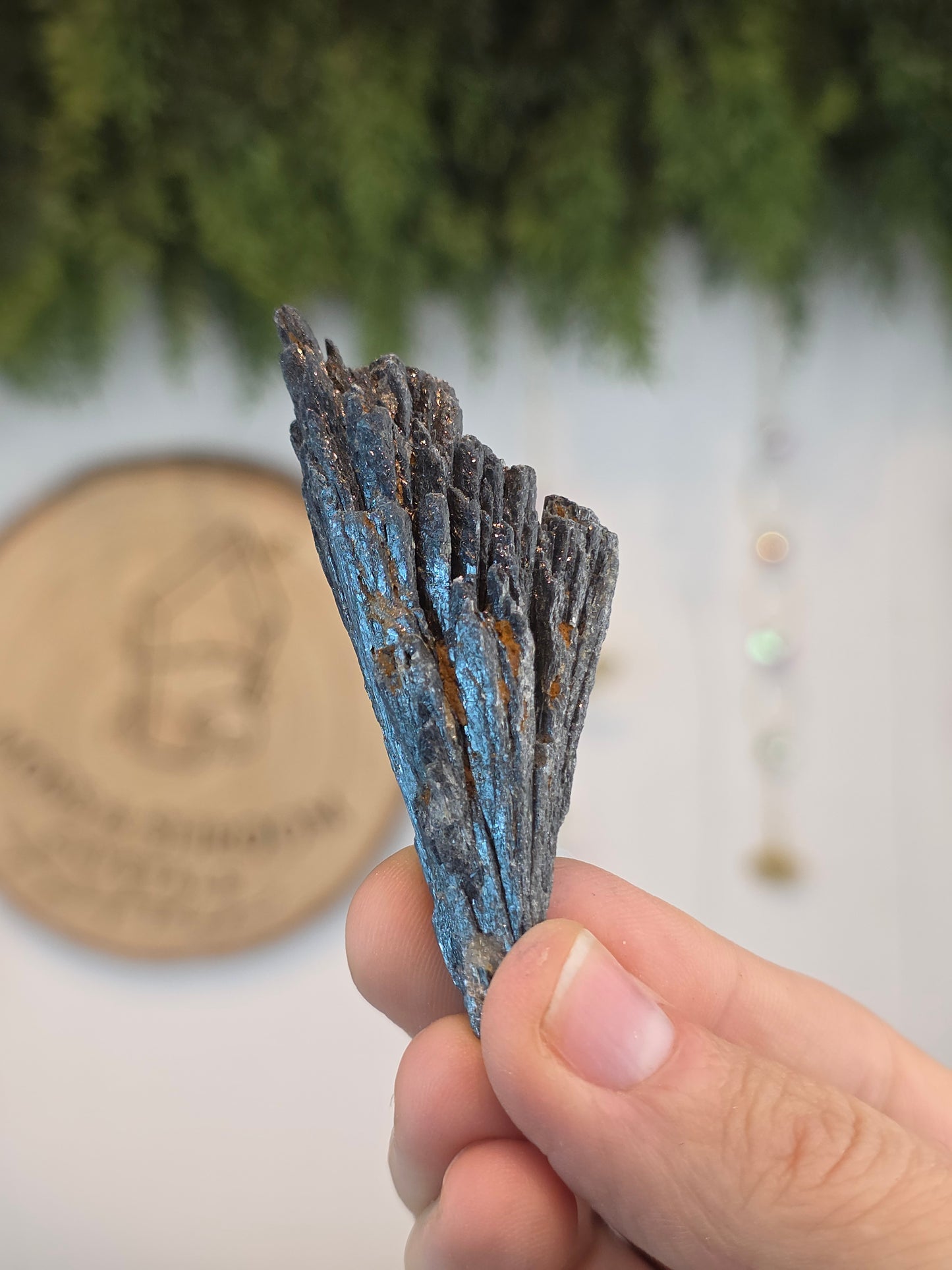 Brazilian Black Kyanite