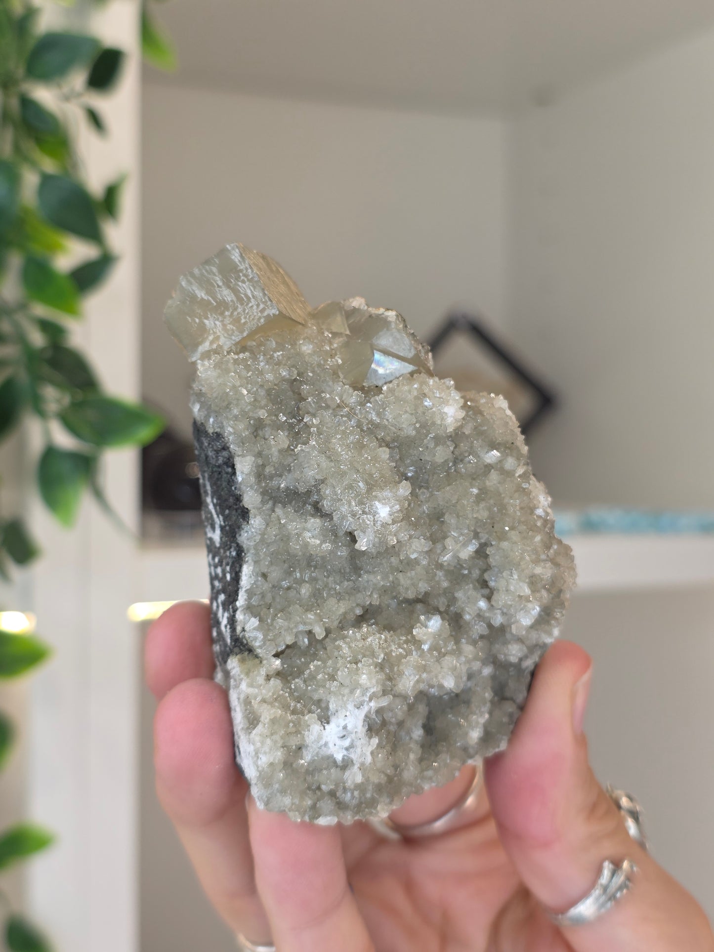 Honey Calcite Cubes on Druzy Sugar Calcite and Stilbite Matrix from Madhya Pradesh, India - U
