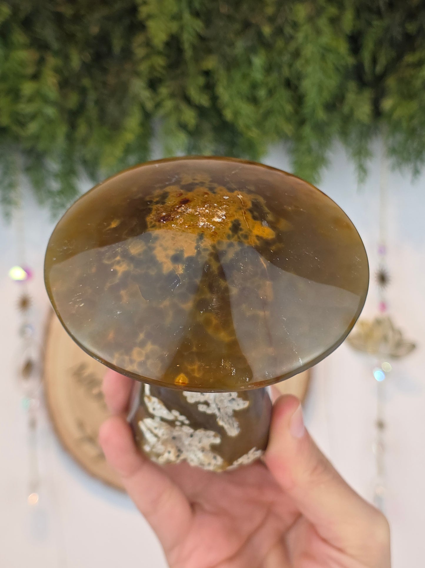 Brazilian Agate Mushroom A