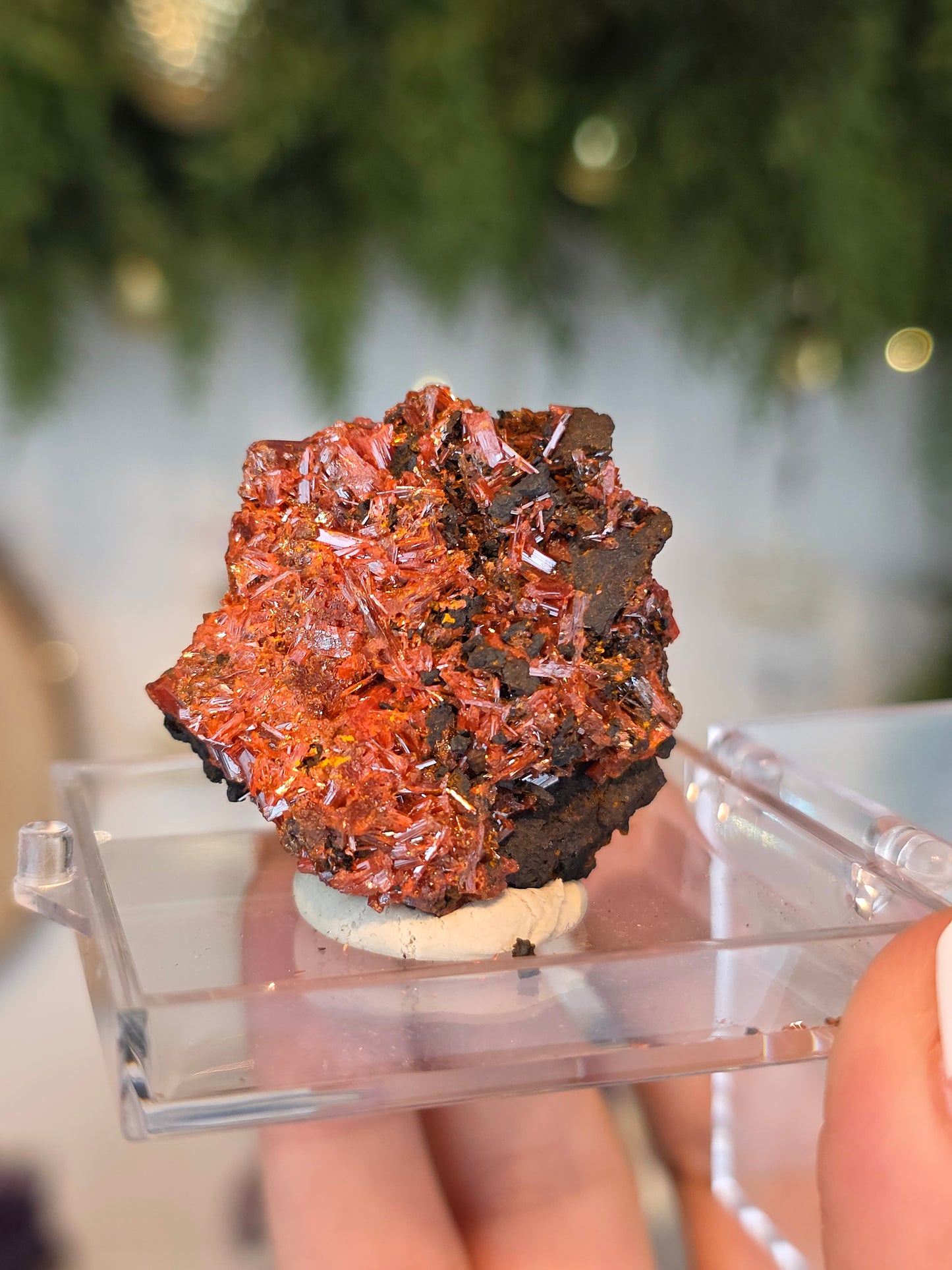 Crocoite from Australia - MAS6084