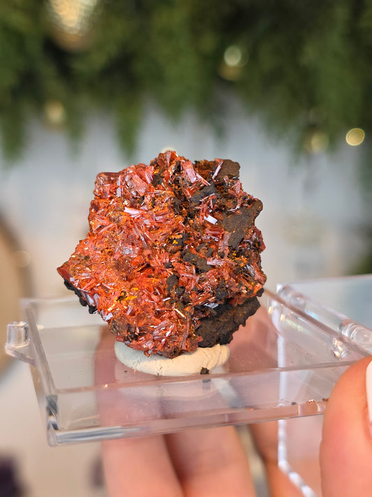 Crocoite from Australia - MAS6084