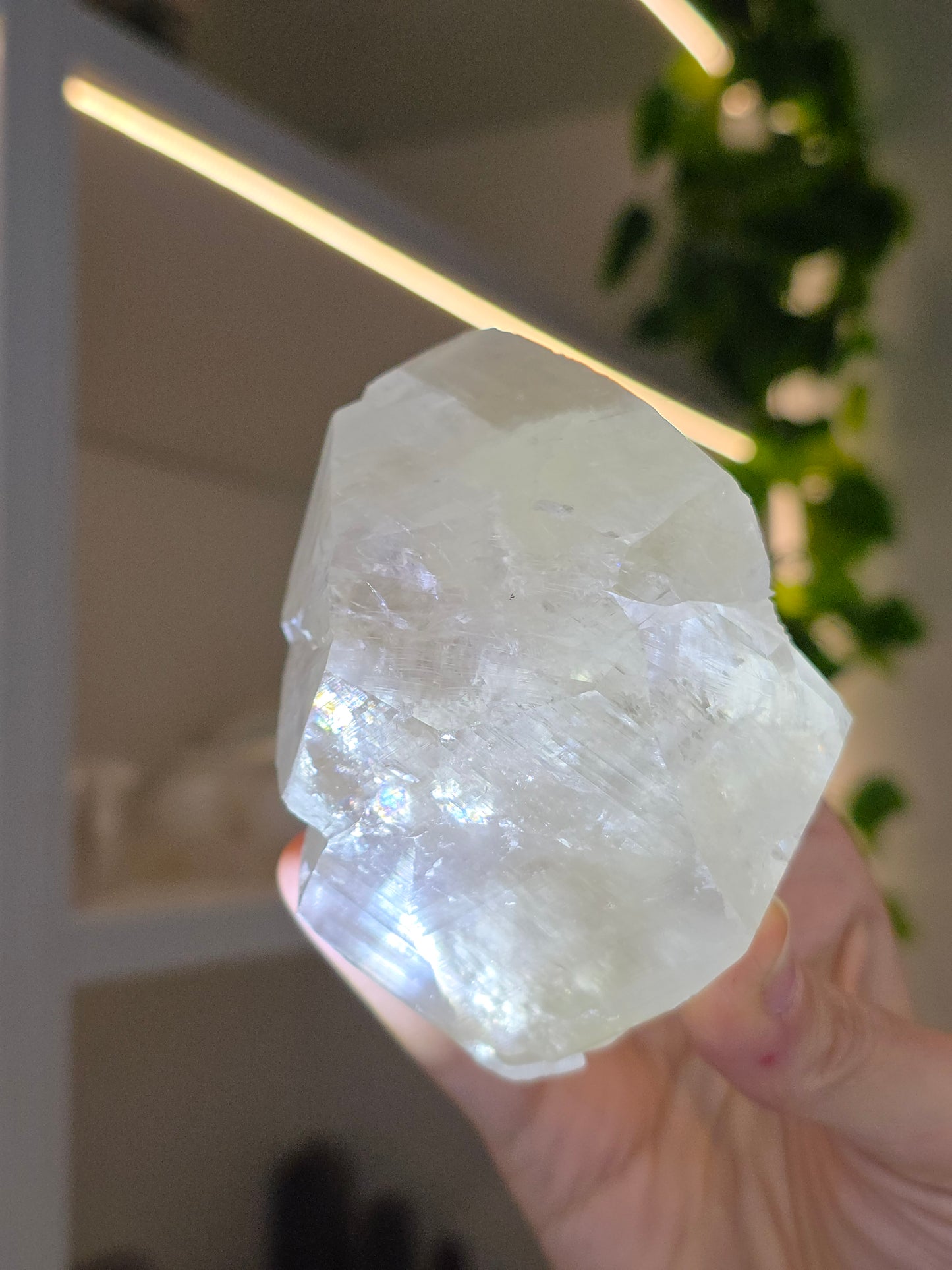 Honey Optical Calcite Freeform Chunk D from Pakistan