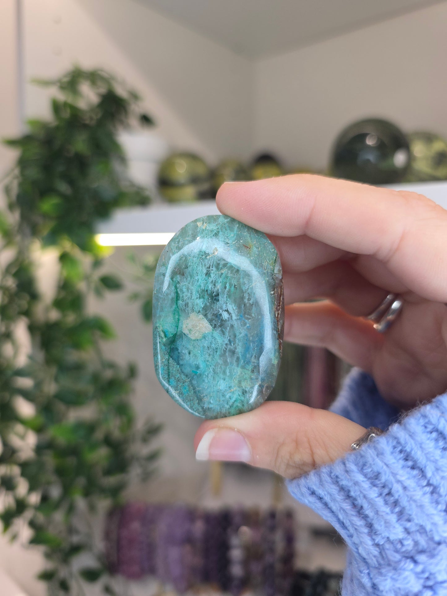 Shattuckite Palms
