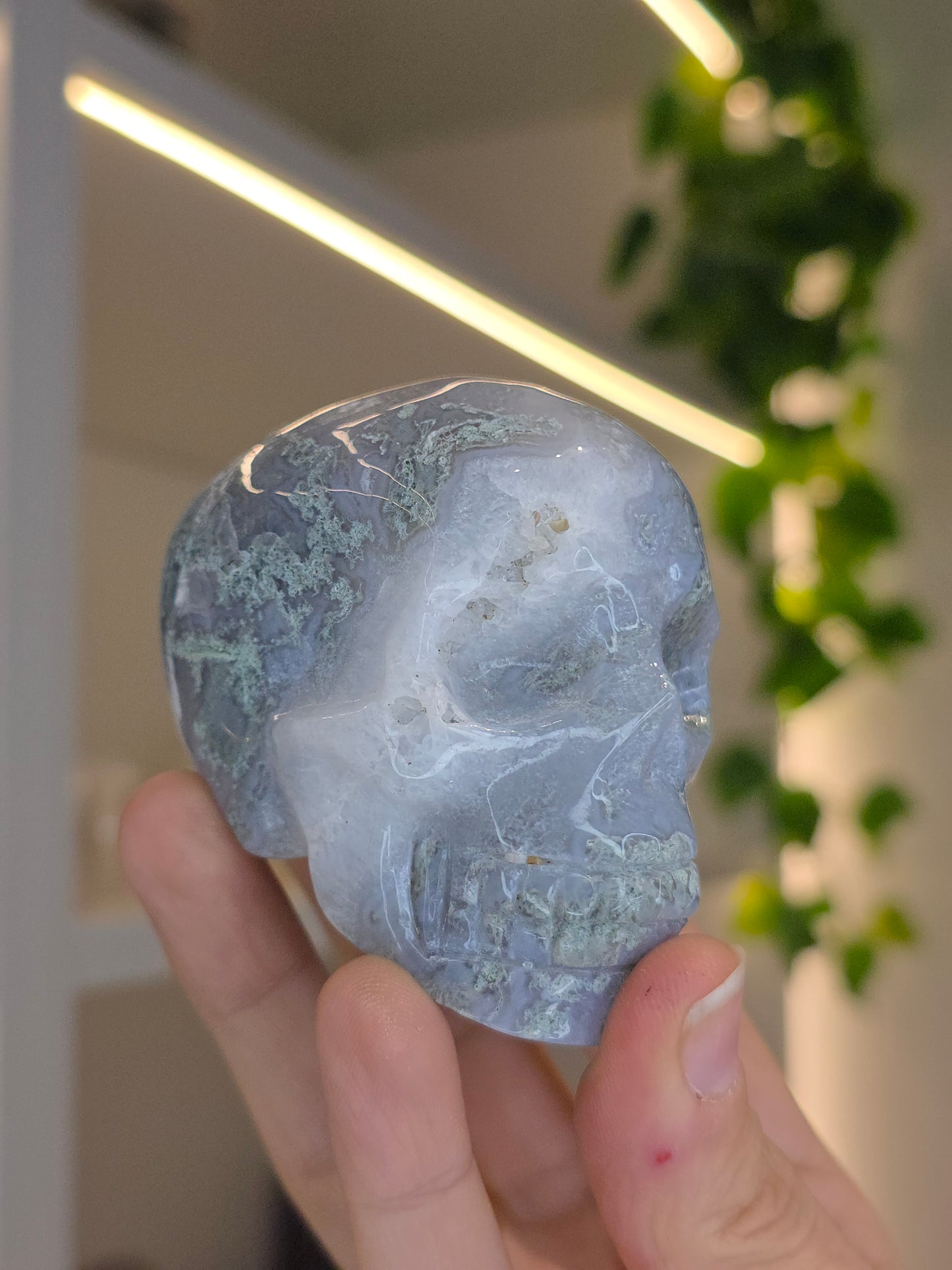 Moss Agate Skull A