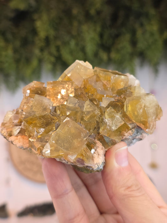 Yellow Cubic Fluorite from Beijing, China