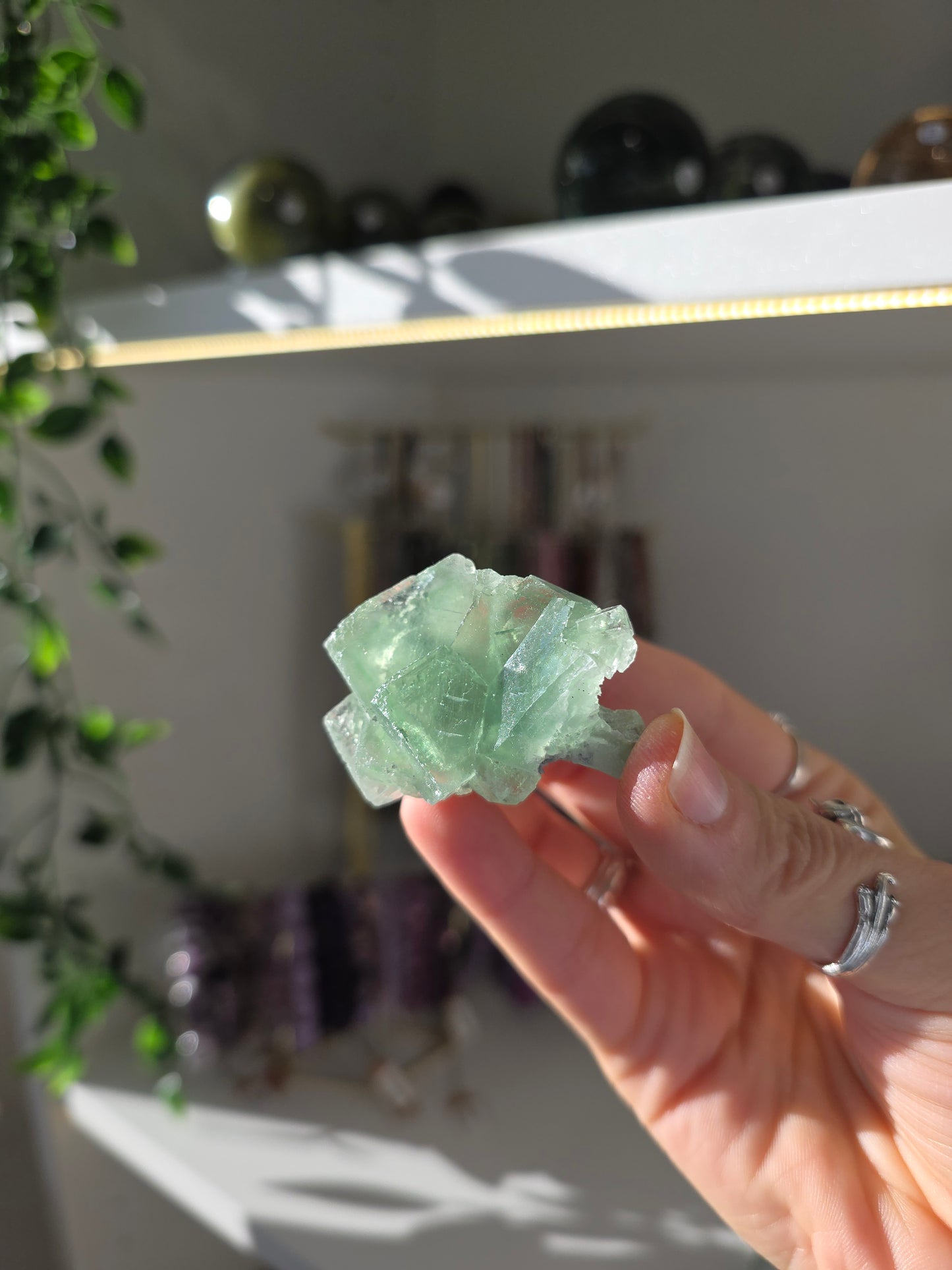 Apple Green Fluorite Specimens from Yunnan Province, China