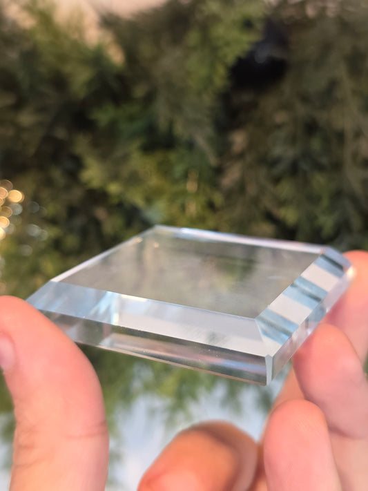 Clear Specimen Bases - MAS6057