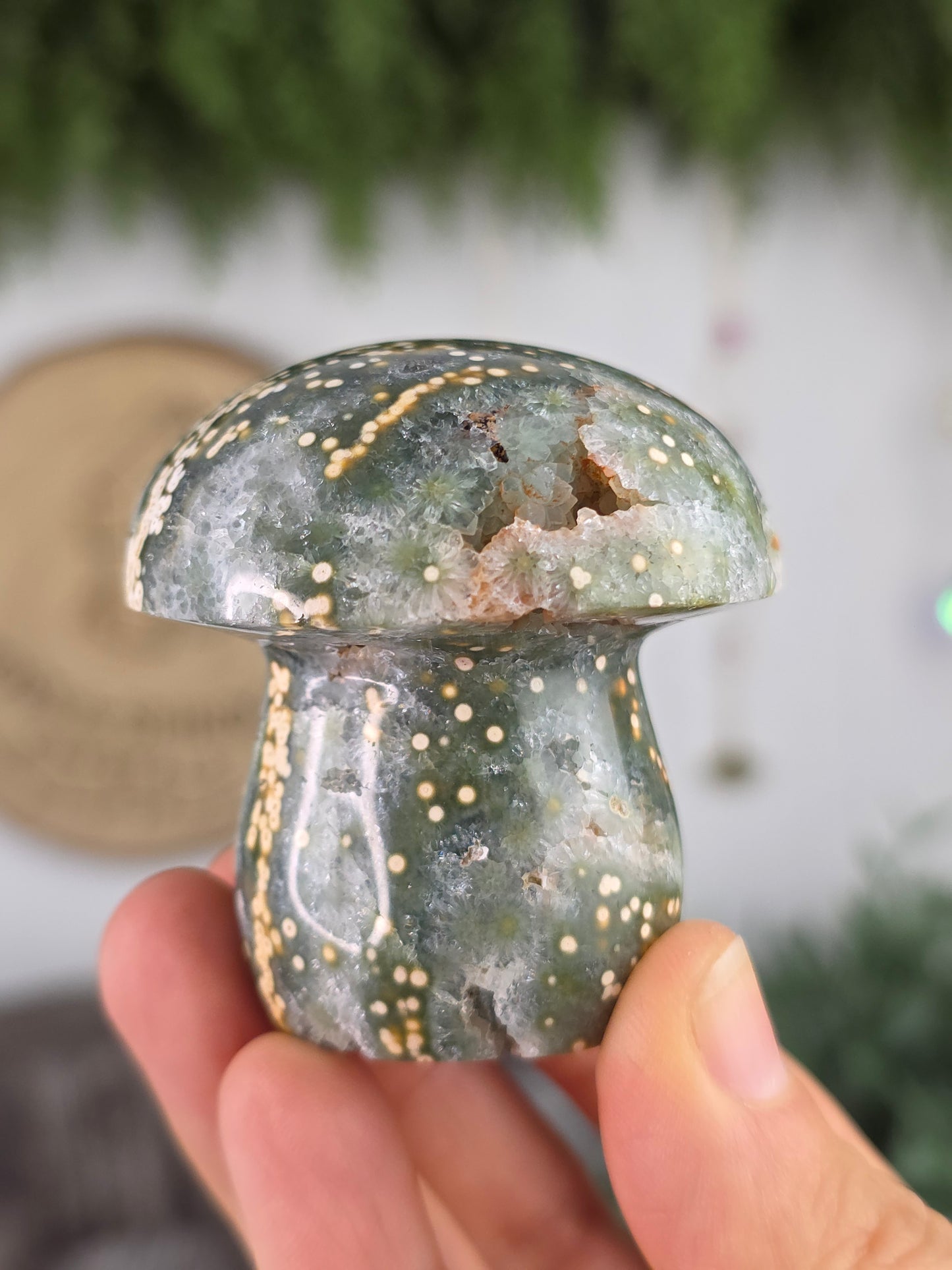8th Vein Ocean Jasper Mushroom B