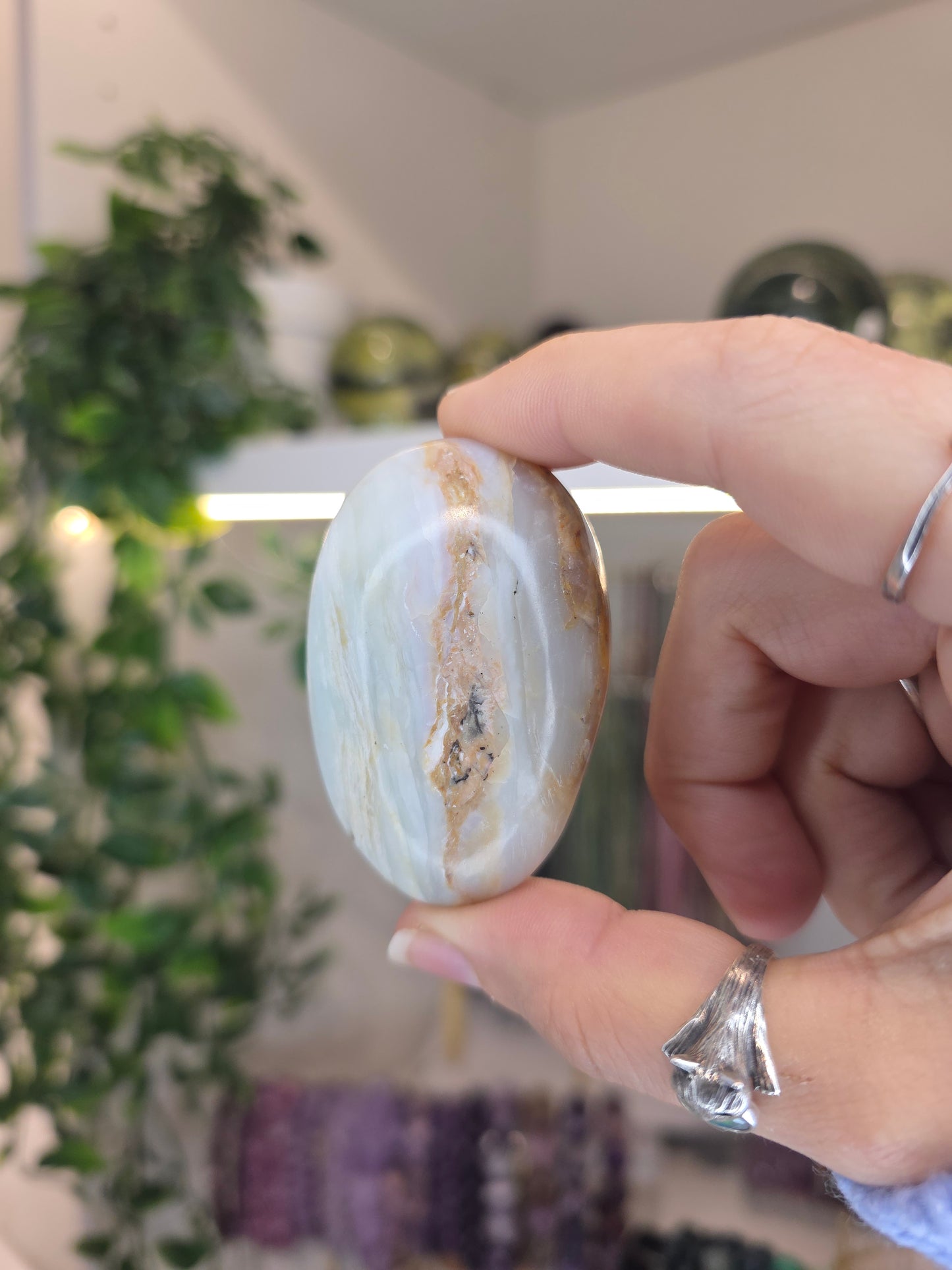 Peruvian Andean Opal Palms