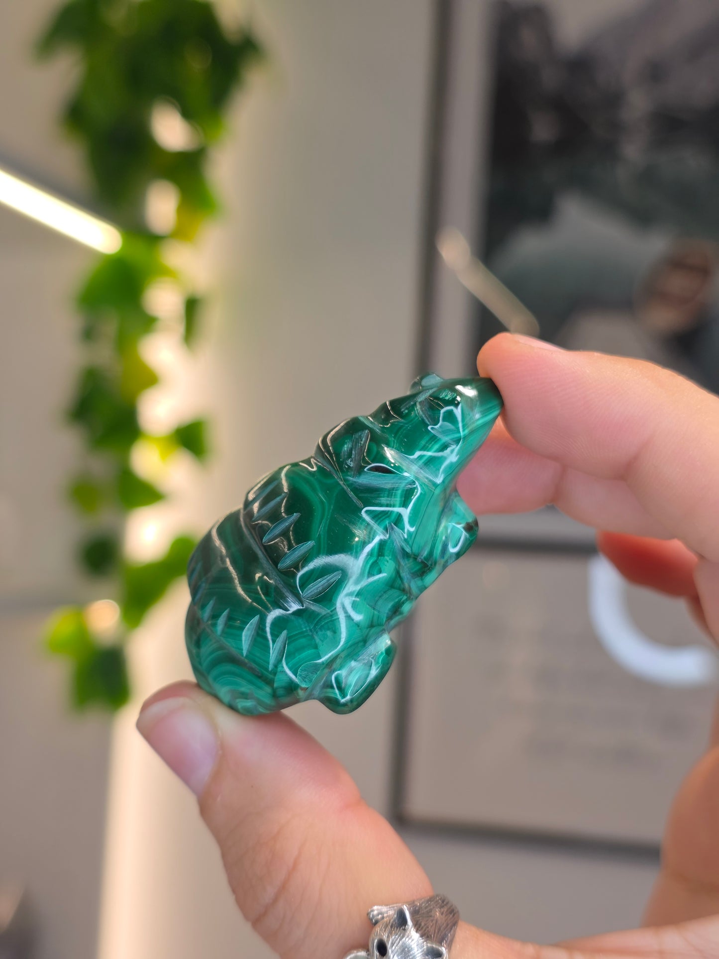 Malachite Turtle Carving - F