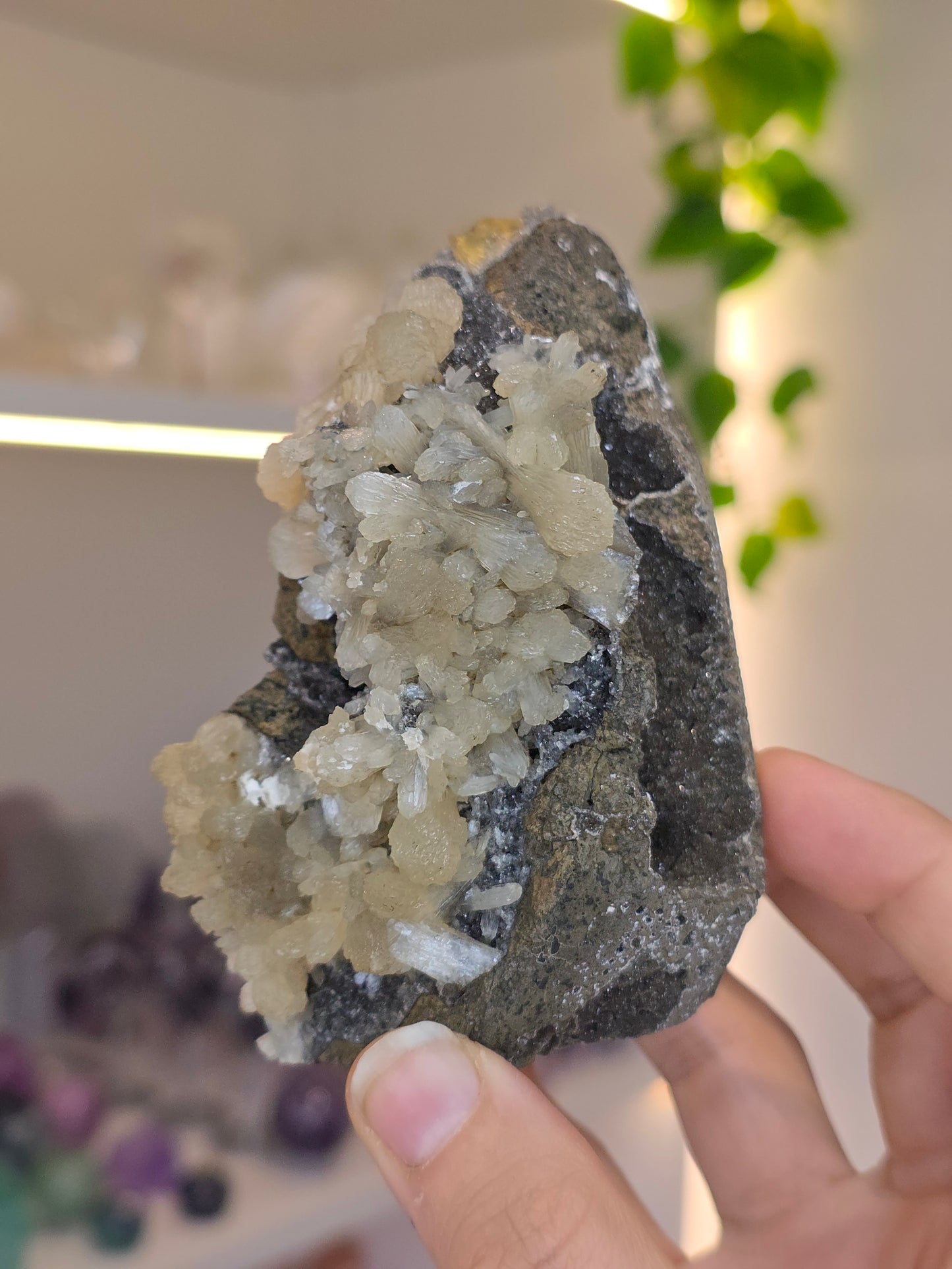 Honey Calcite on Black Chalcedony with Stilbite P from Madhya Pradesh India