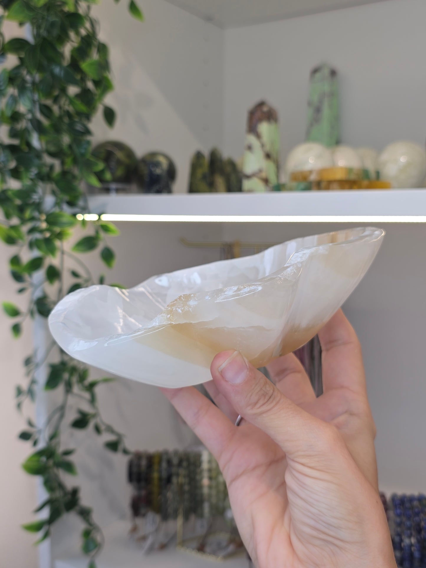 Mexican Onyx Freeform Bowl - Honey Calcite - D