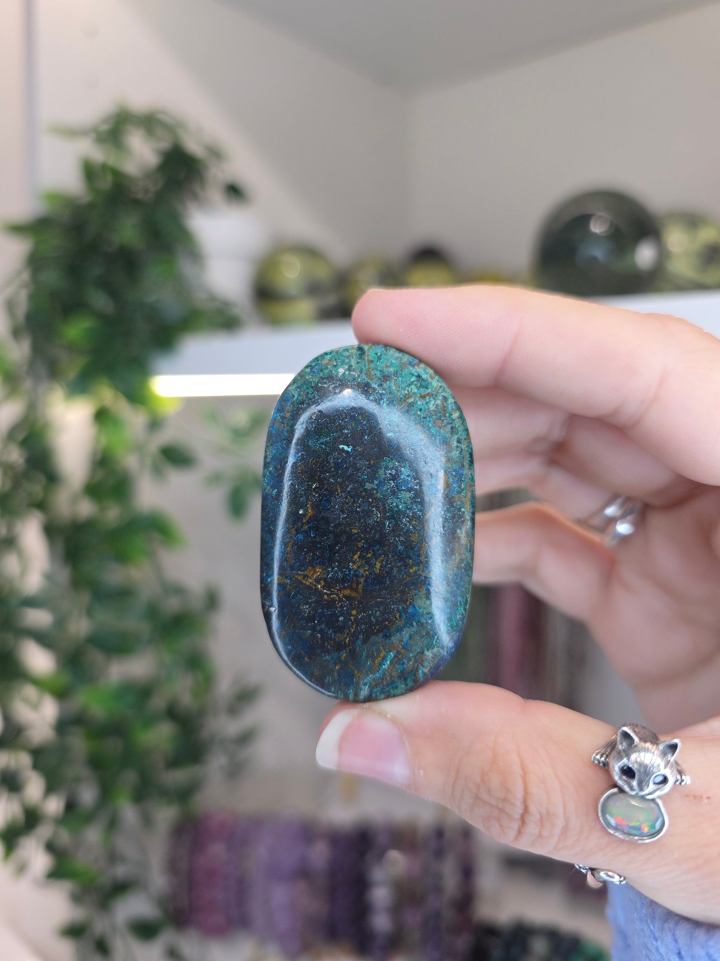Shattuckite Palms