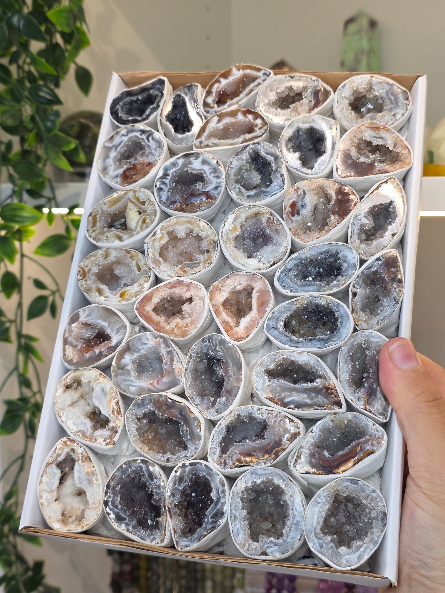 Intuitively Chosen Single Brazilian Agate Geodes