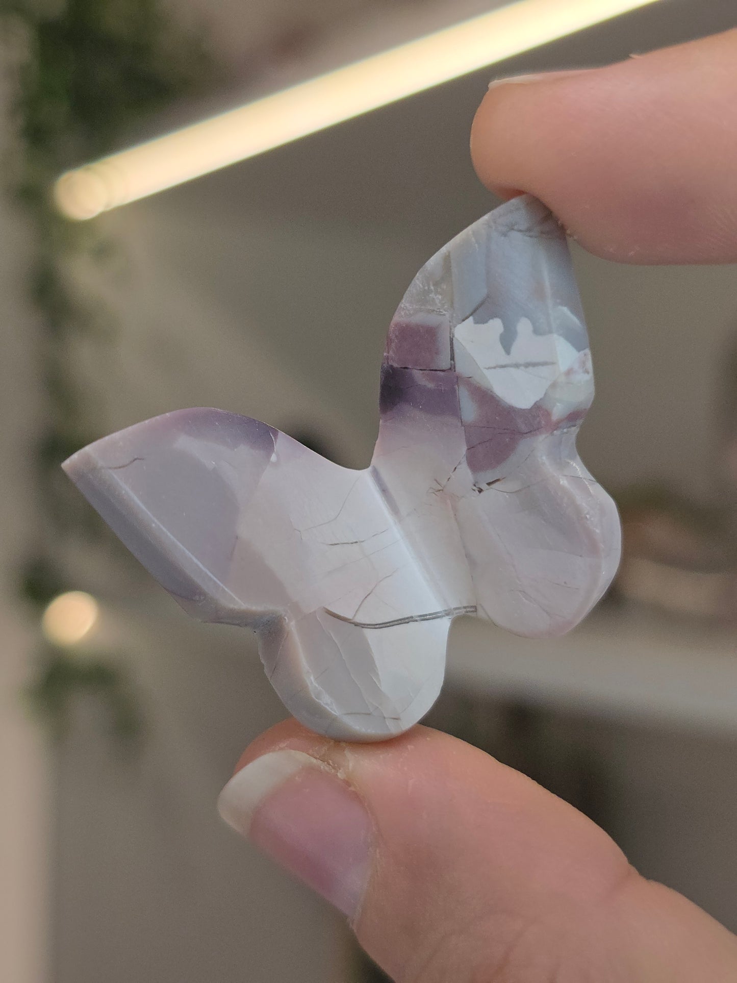 Hyacinth Jasper Butterflies