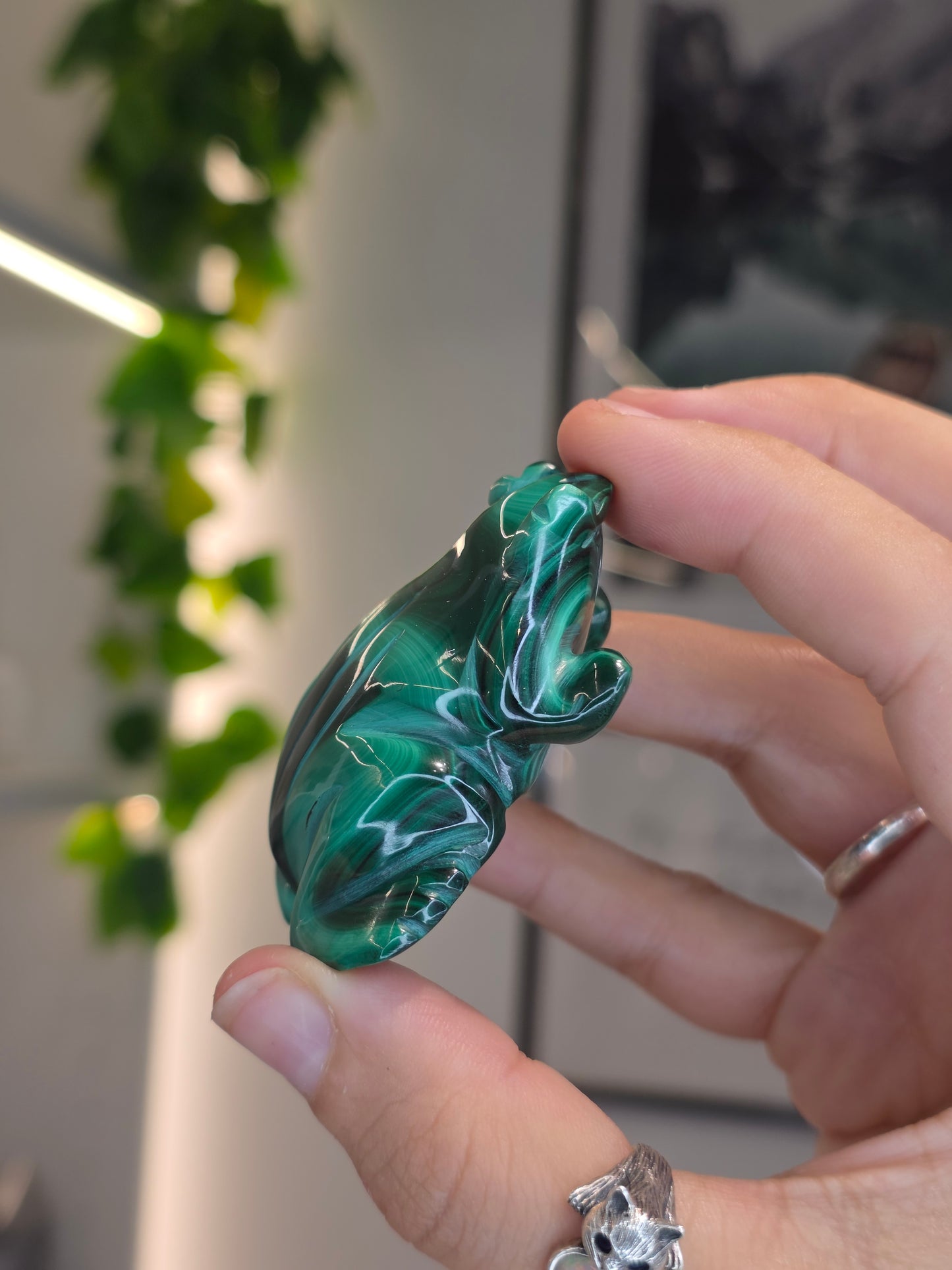 Malachite Frog Carving - G