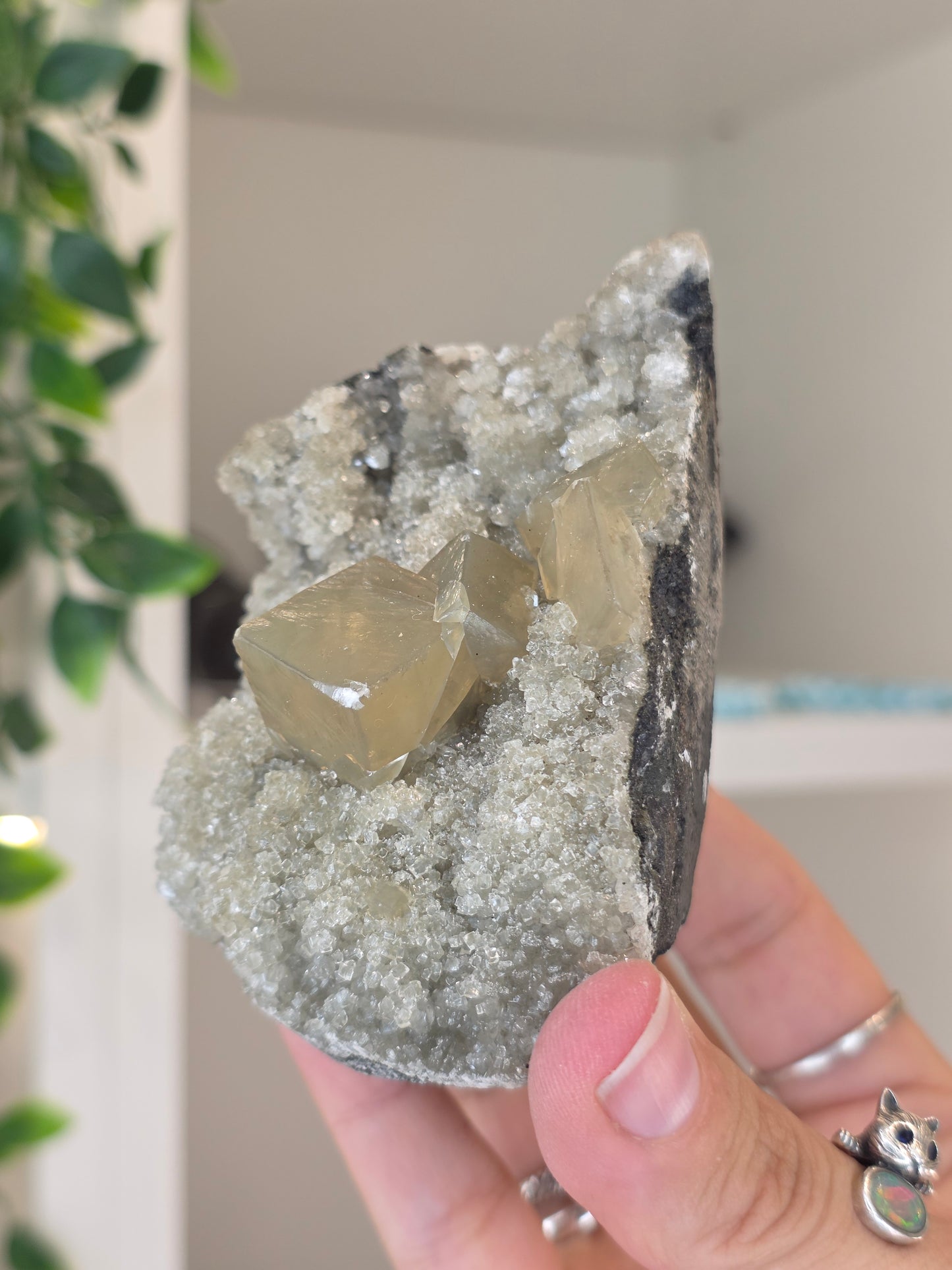 Honey Calcite Cubes on Druzy Sugar Calcite and Stilbite Matrix from Madhya Pradesh, India - Y