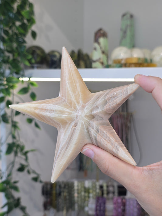 Large Mexican Onyx Starfish - Honey Calcite - A